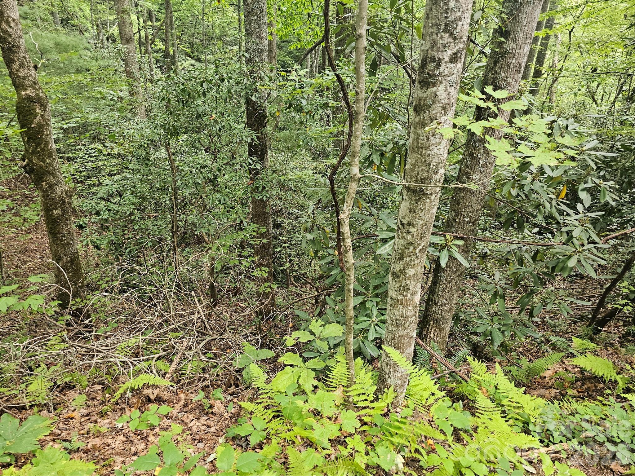 Lot at 99999 Majestic Trace, Hendersonville, photo 28 of 51