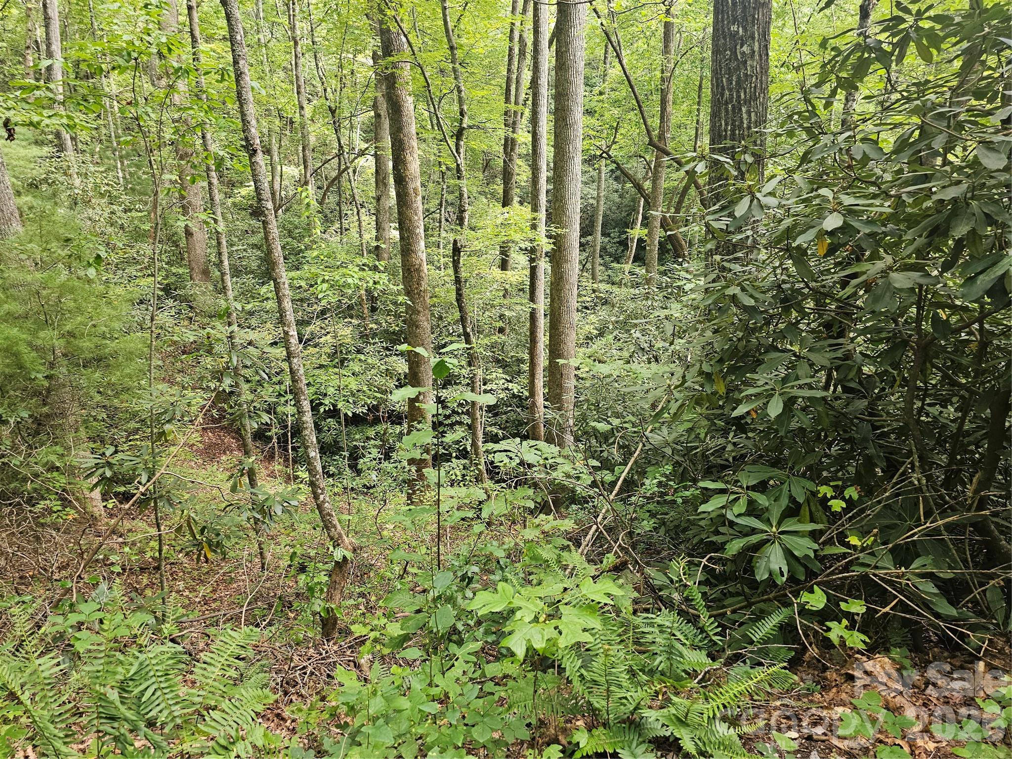 Lot at 99999 Majestic Trace, Hendersonville, photo 29 of 51