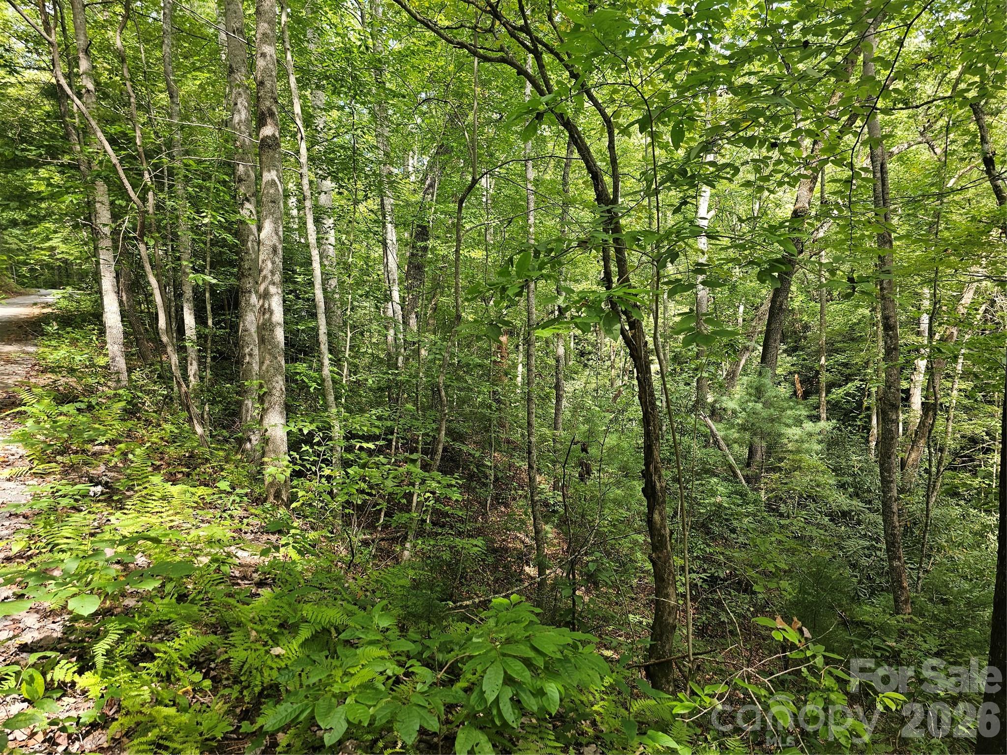 Lot at 99999 Majestic Trace, Hendersonville, photo 31 of 51