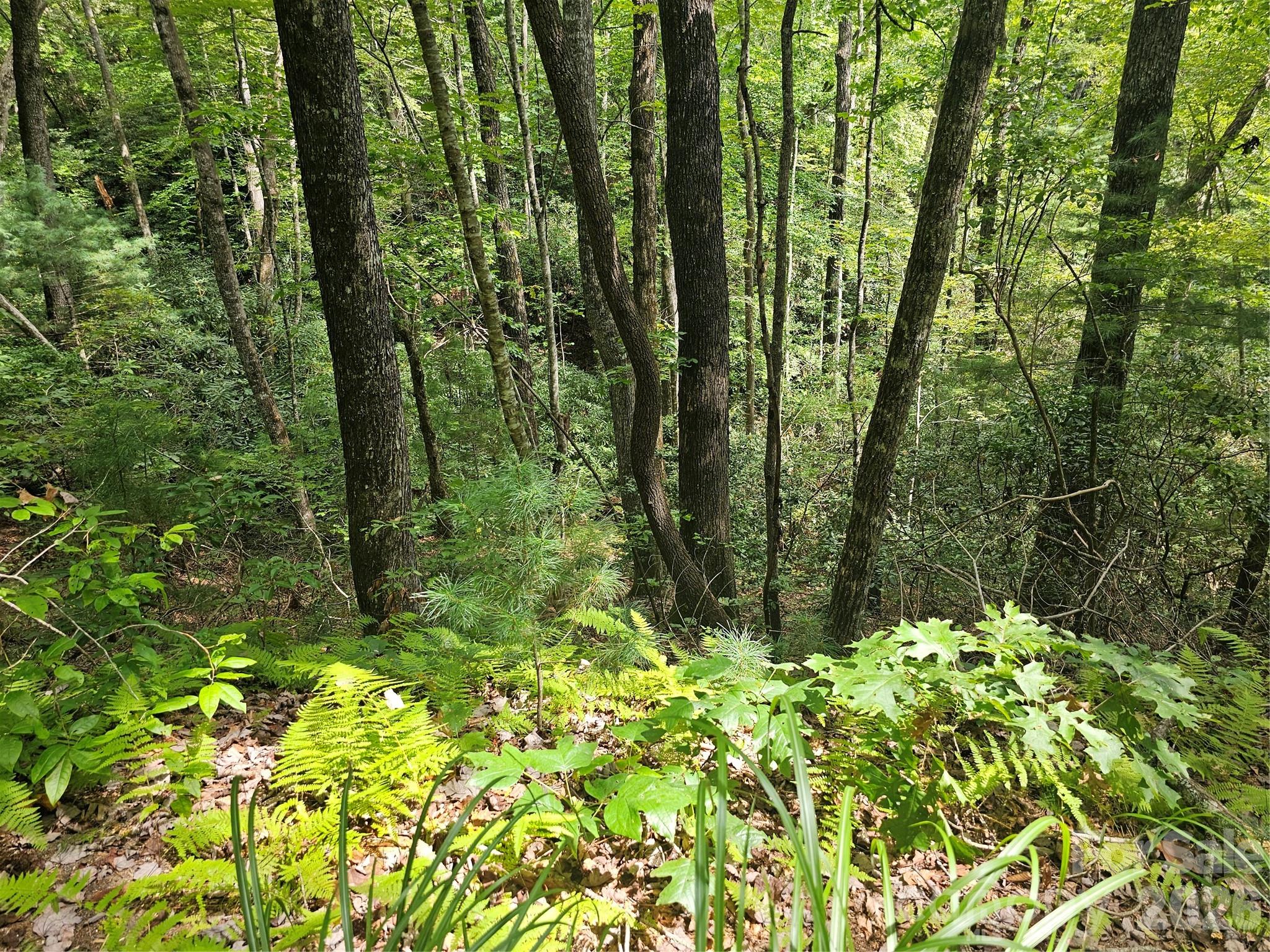 Lot at 99999 Majestic Trace, Hendersonville, photo 32 of 51