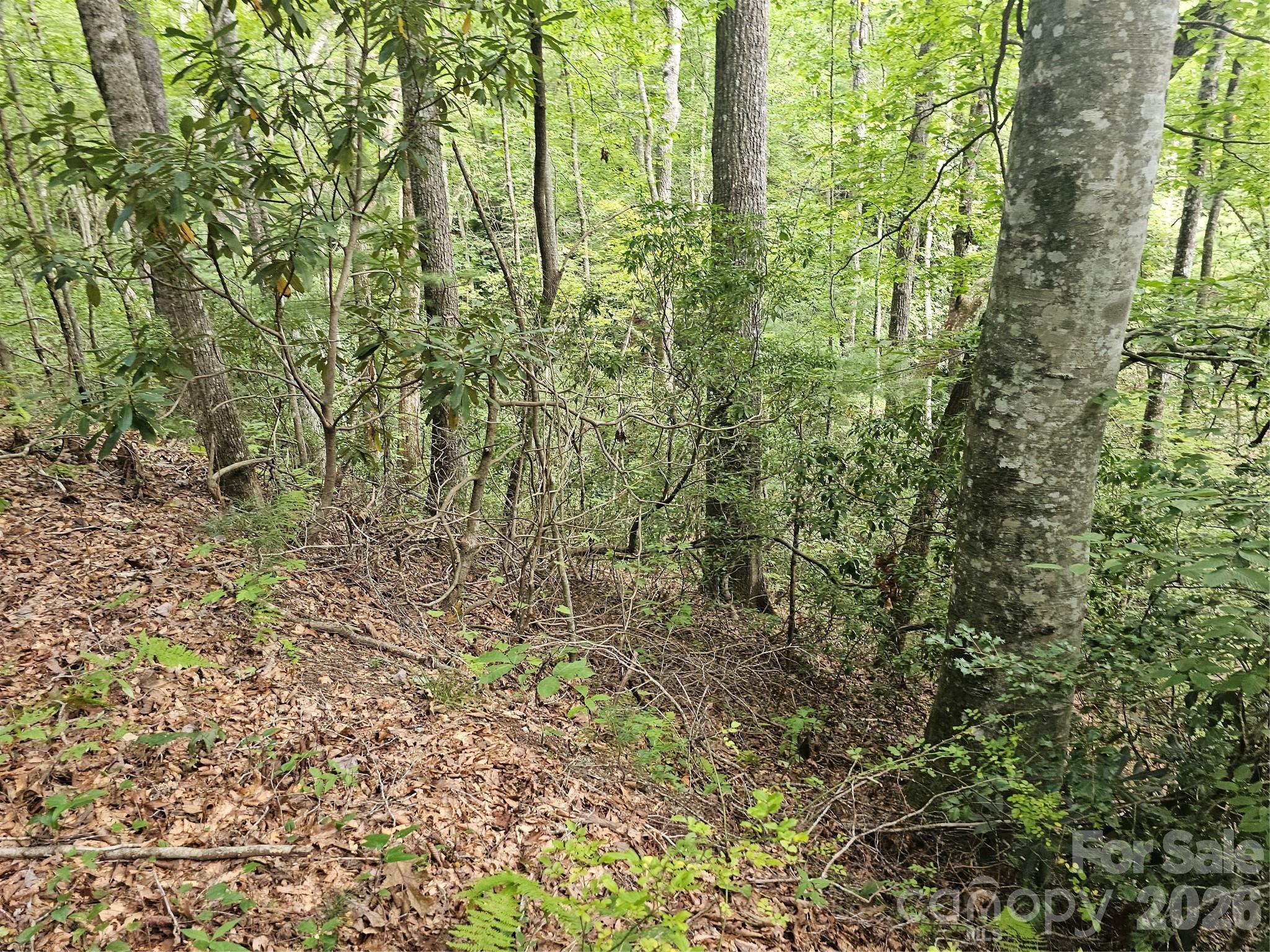Lot at 99999 Majestic Trace, Hendersonville, photo 34 of 51
