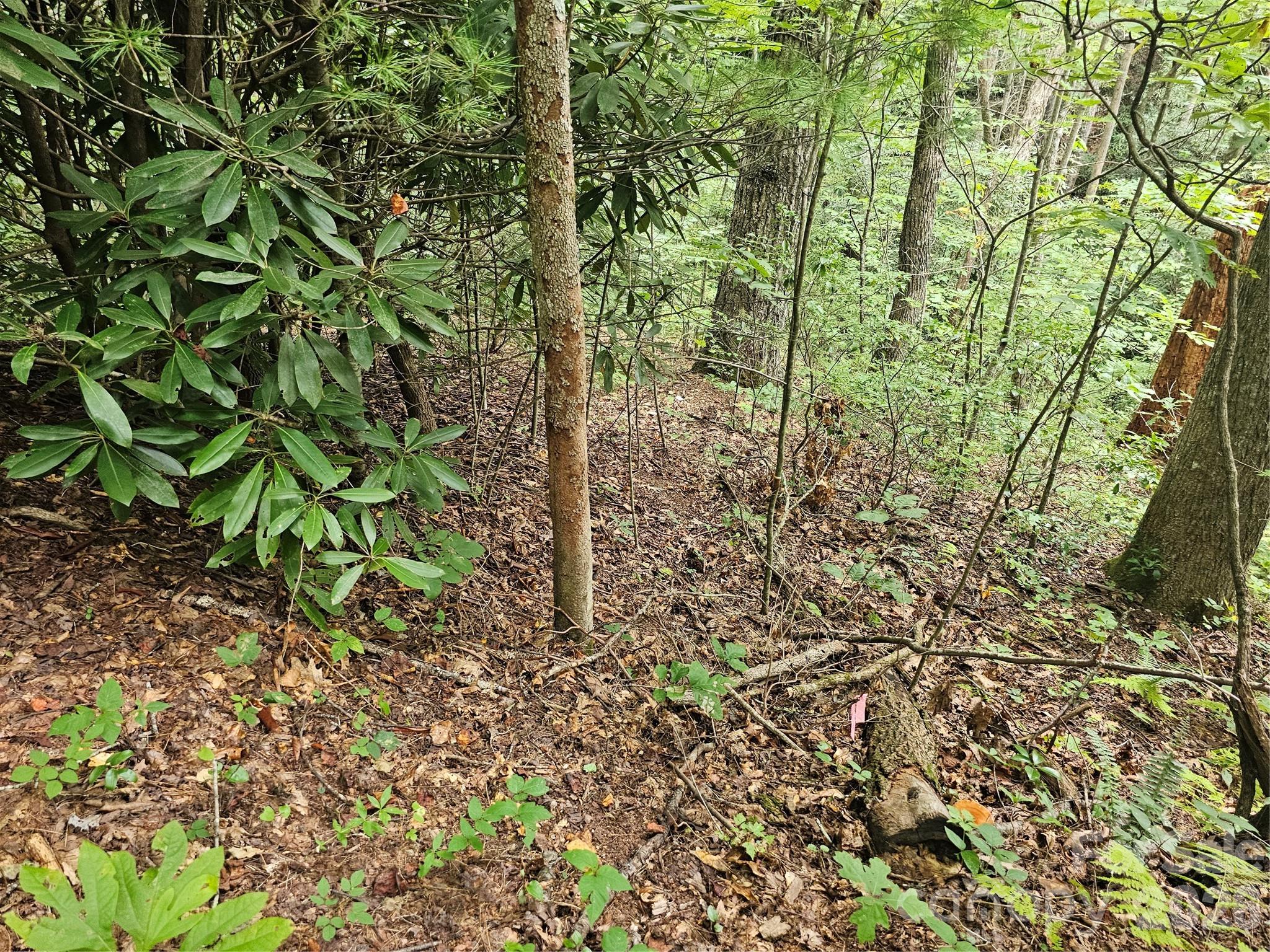Lot at 99999 Majestic Trace, Hendersonville, photo 36 of 51