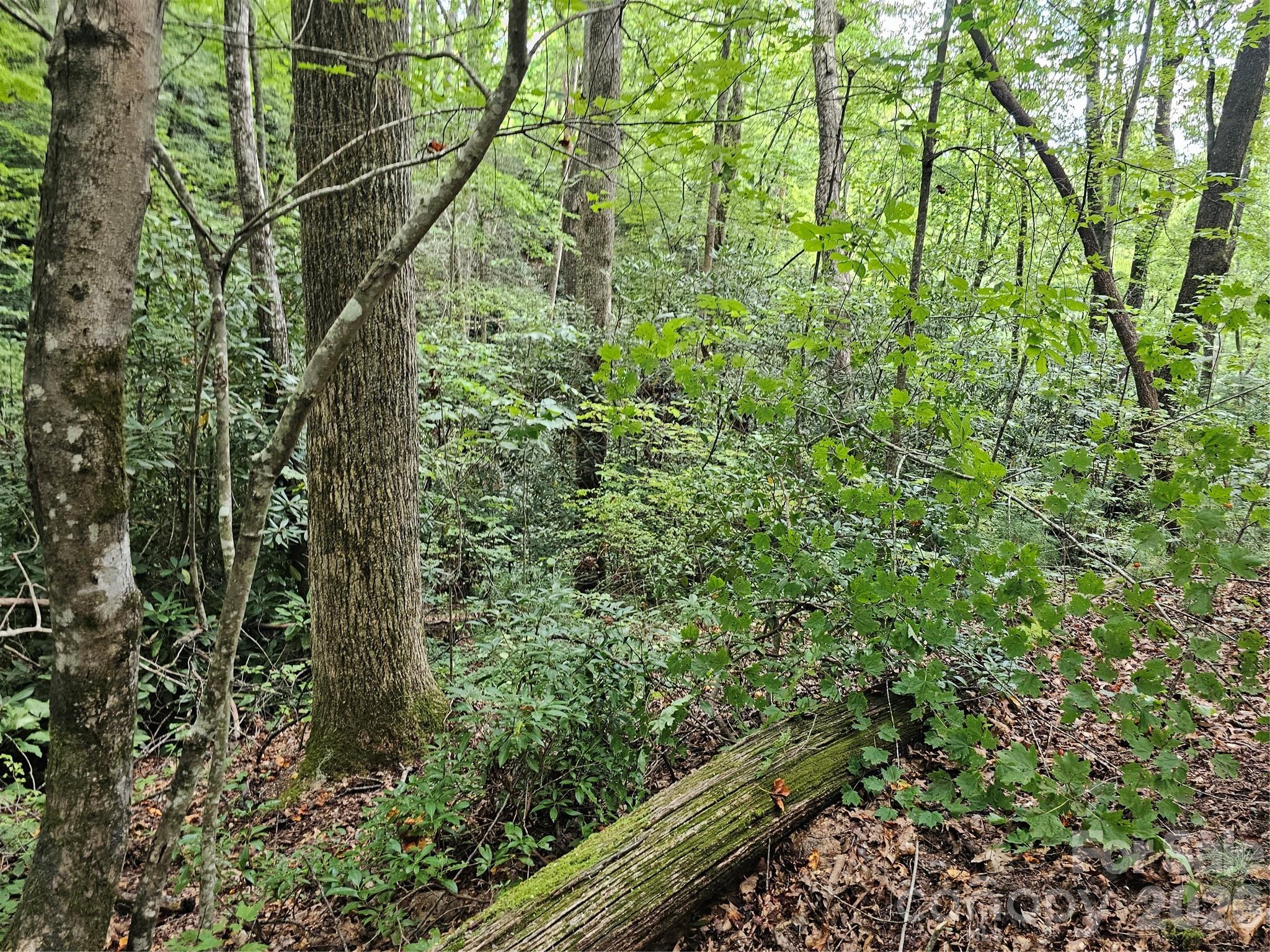Lot at 99999 Majestic Trace, Hendersonville, photo 38 of 51