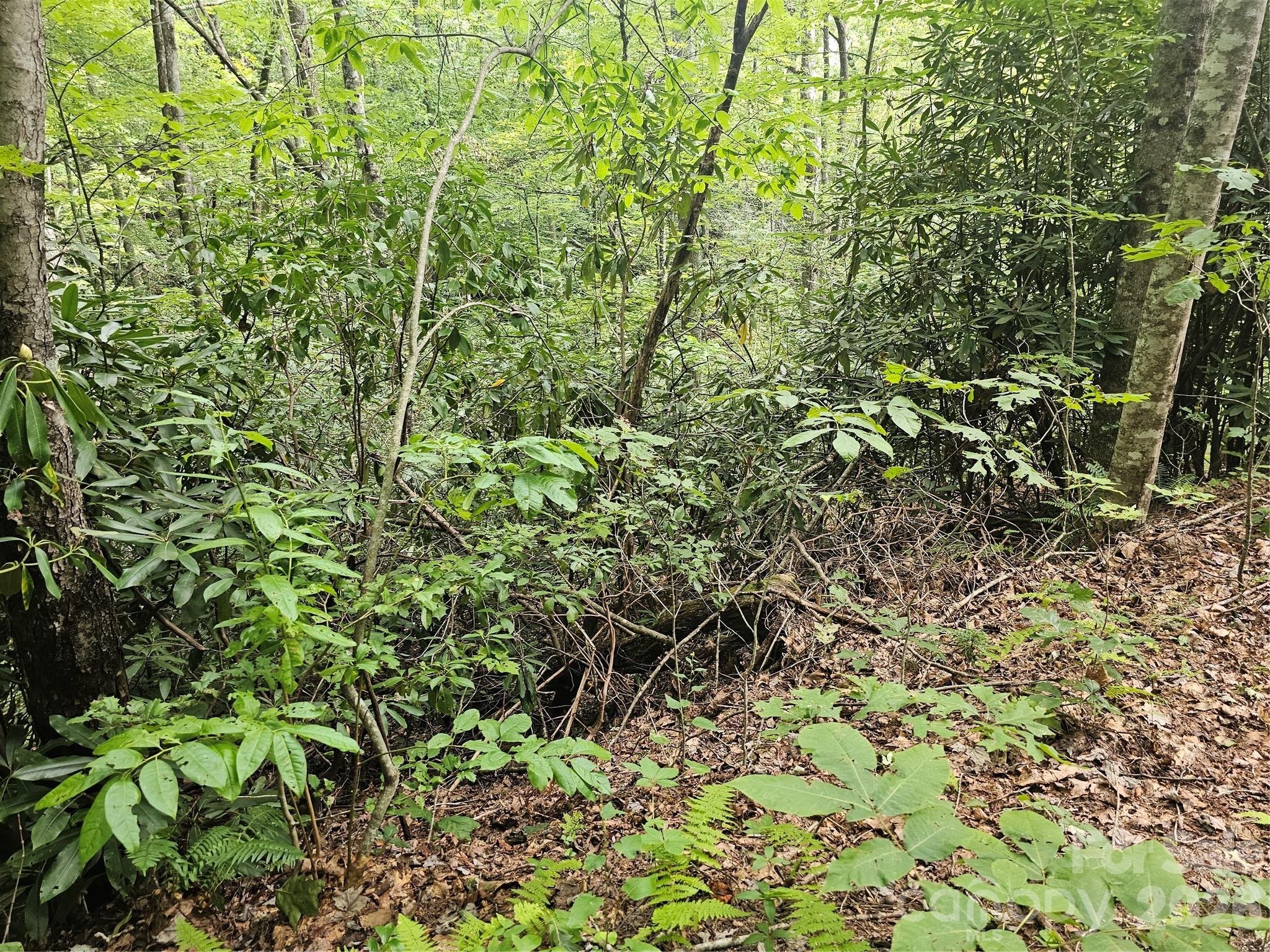 Lot at 99999 Majestic Trace, Hendersonville, photo 35 of 51