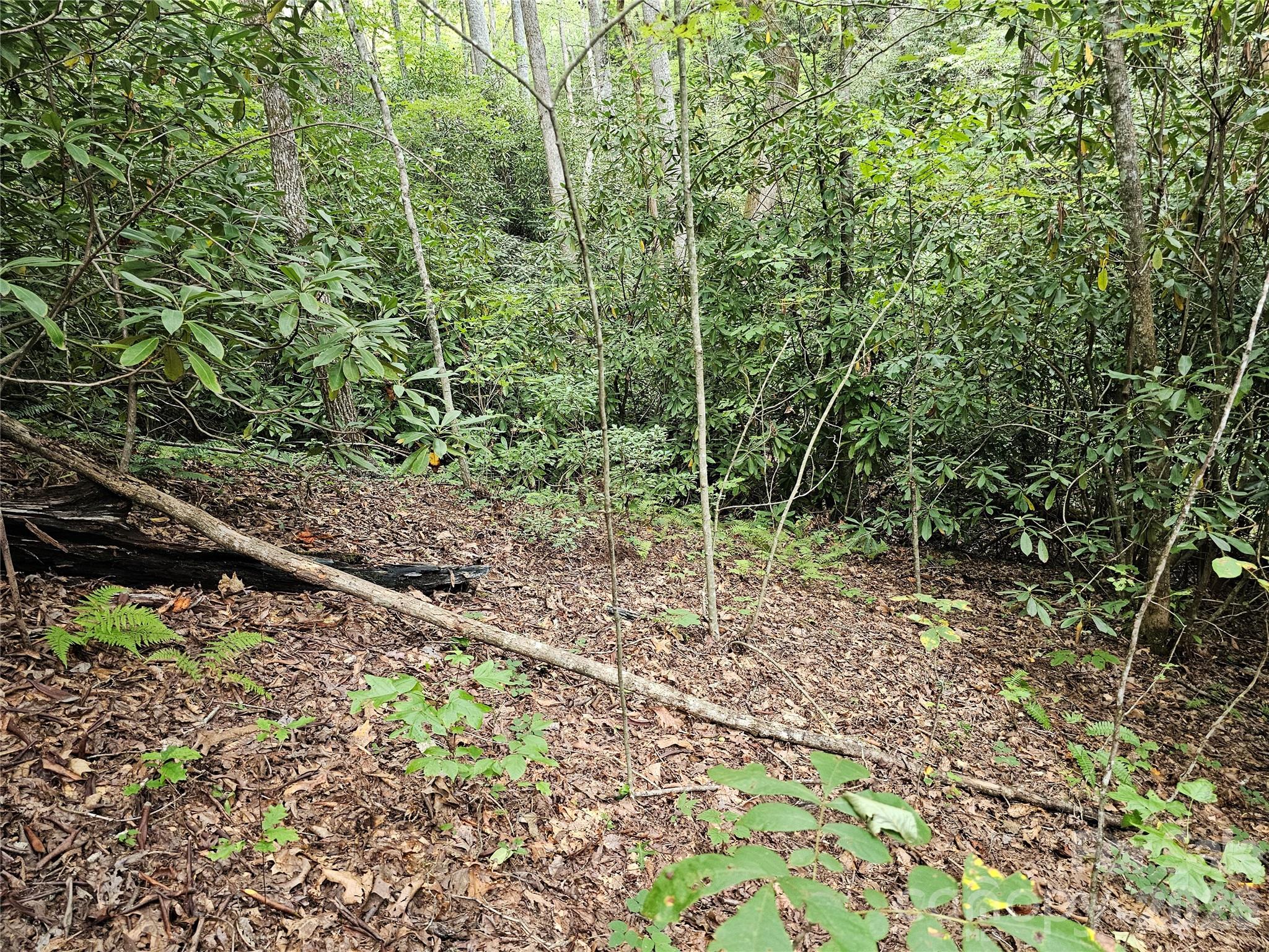 Lot at 99999 Majestic Trace, Hendersonville, photo 37 of 51