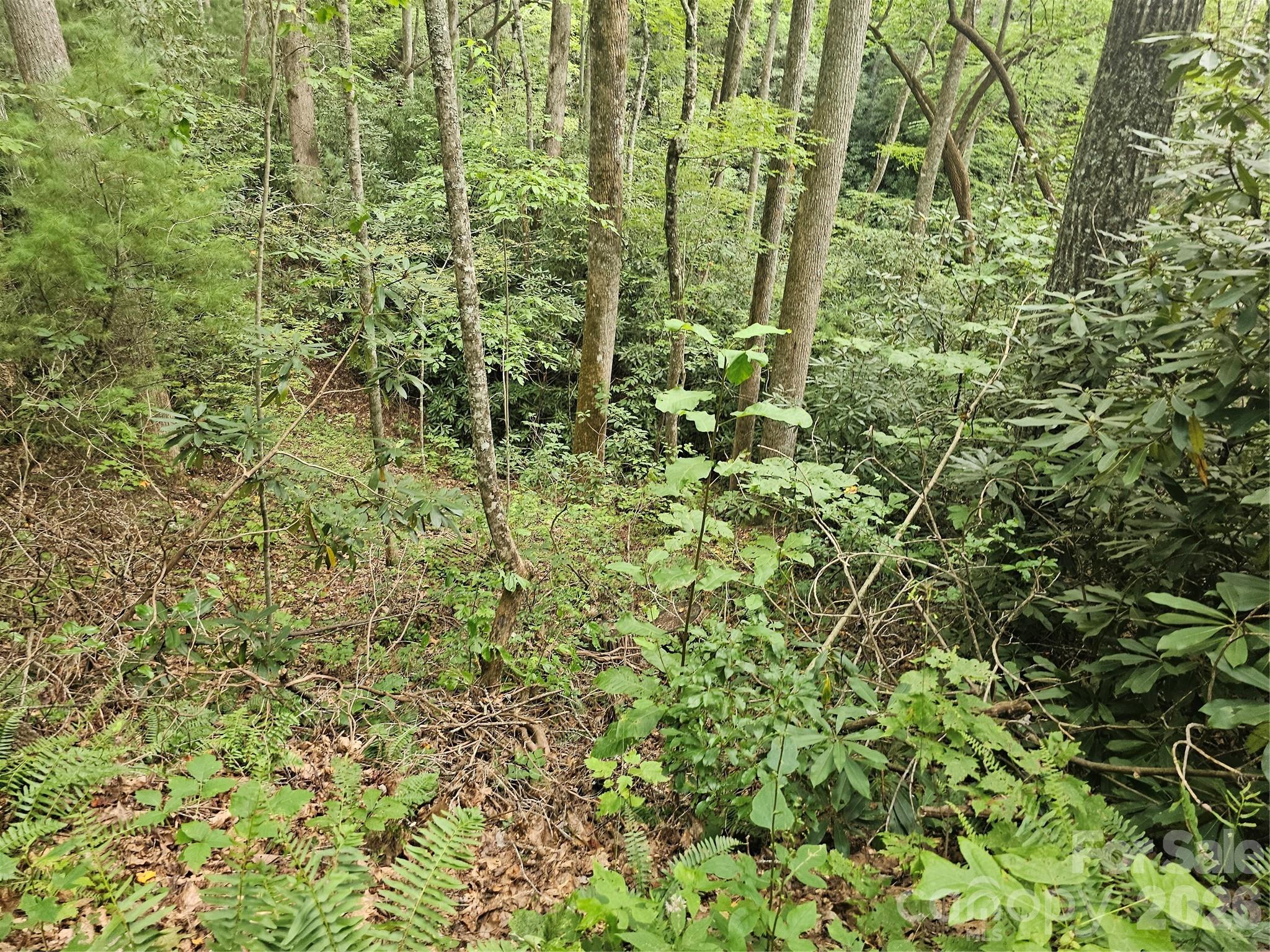 Lot at 99999 Majestic Trace, Hendersonville, photo 40 of 51