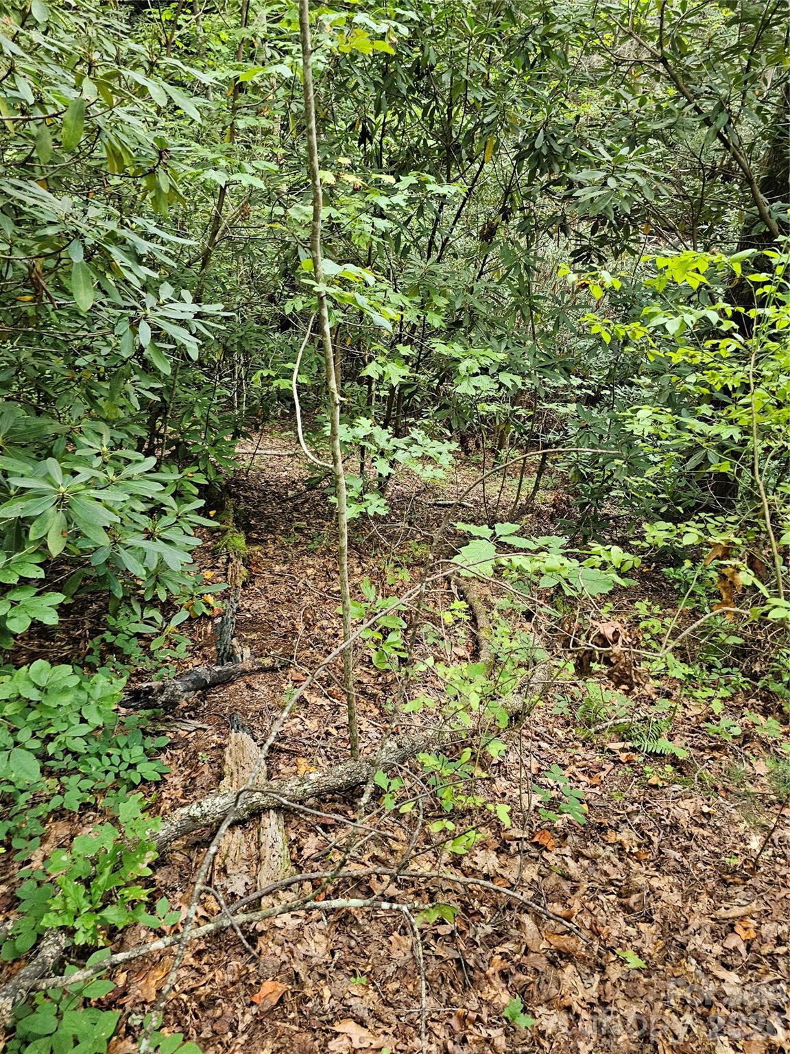 Lot at 99999 Majestic Trace, Hendersonville, photo 41 of 51