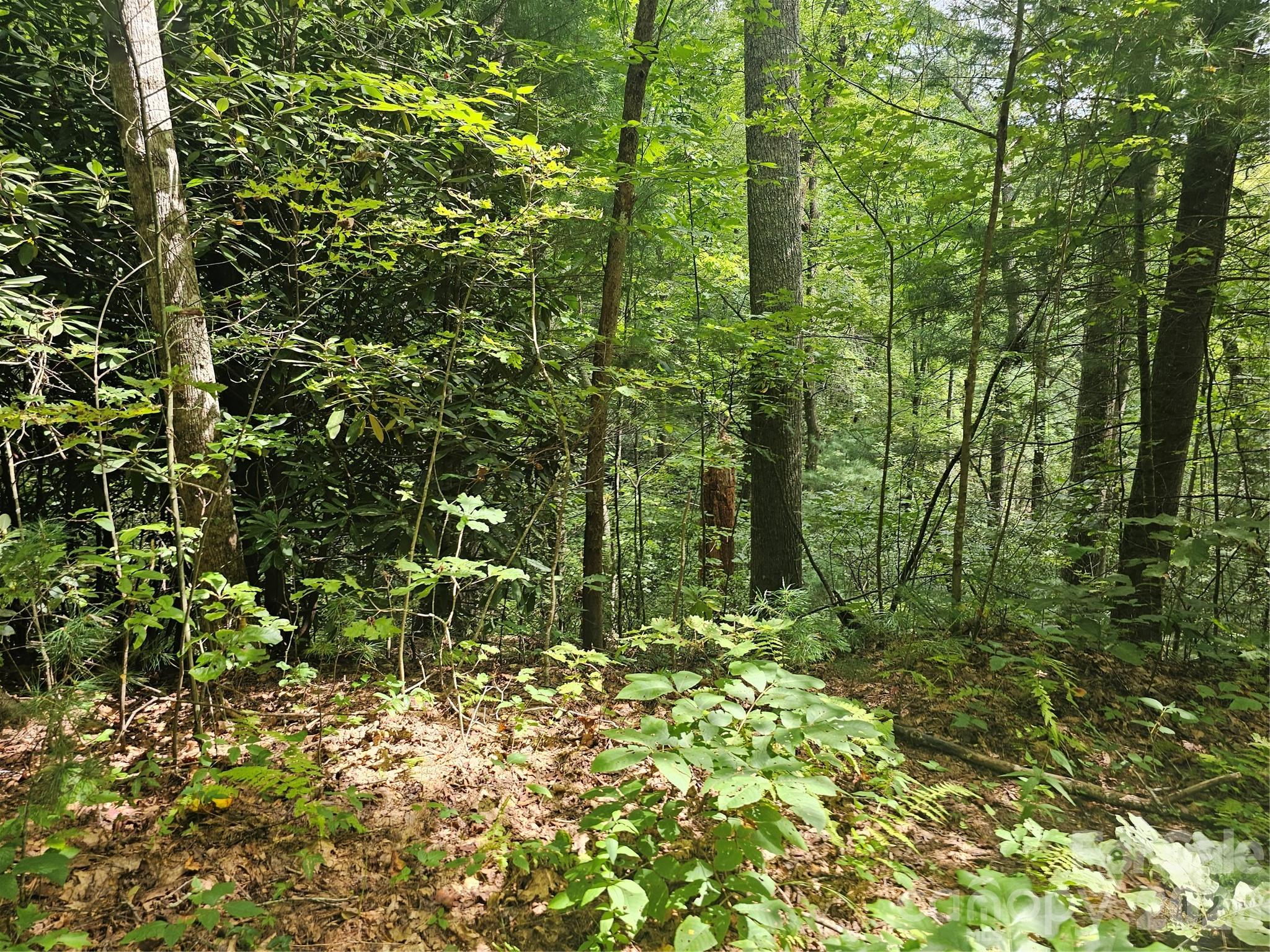 Lot at 99999 Majestic Trace, Hendersonville, photo 42 of 51