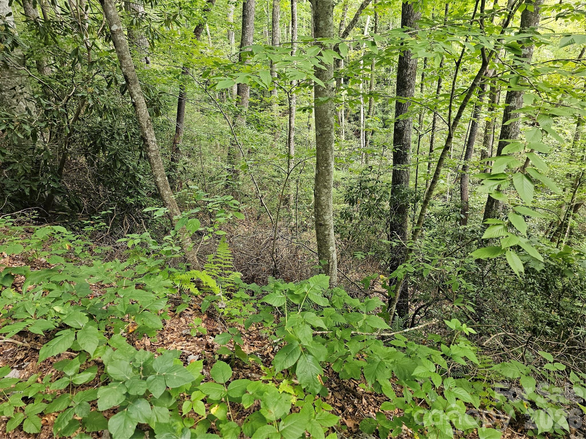 Lot at 99999 Majestic Trace, Hendersonville, photo 44 of 51