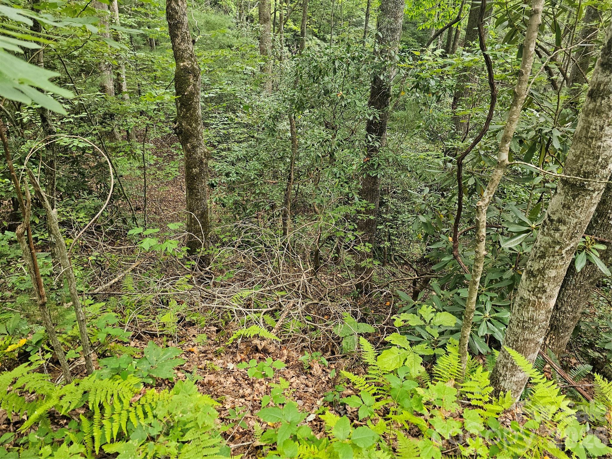 Lot at 99999 Majestic Trace, Hendersonville, photo 46 of 51