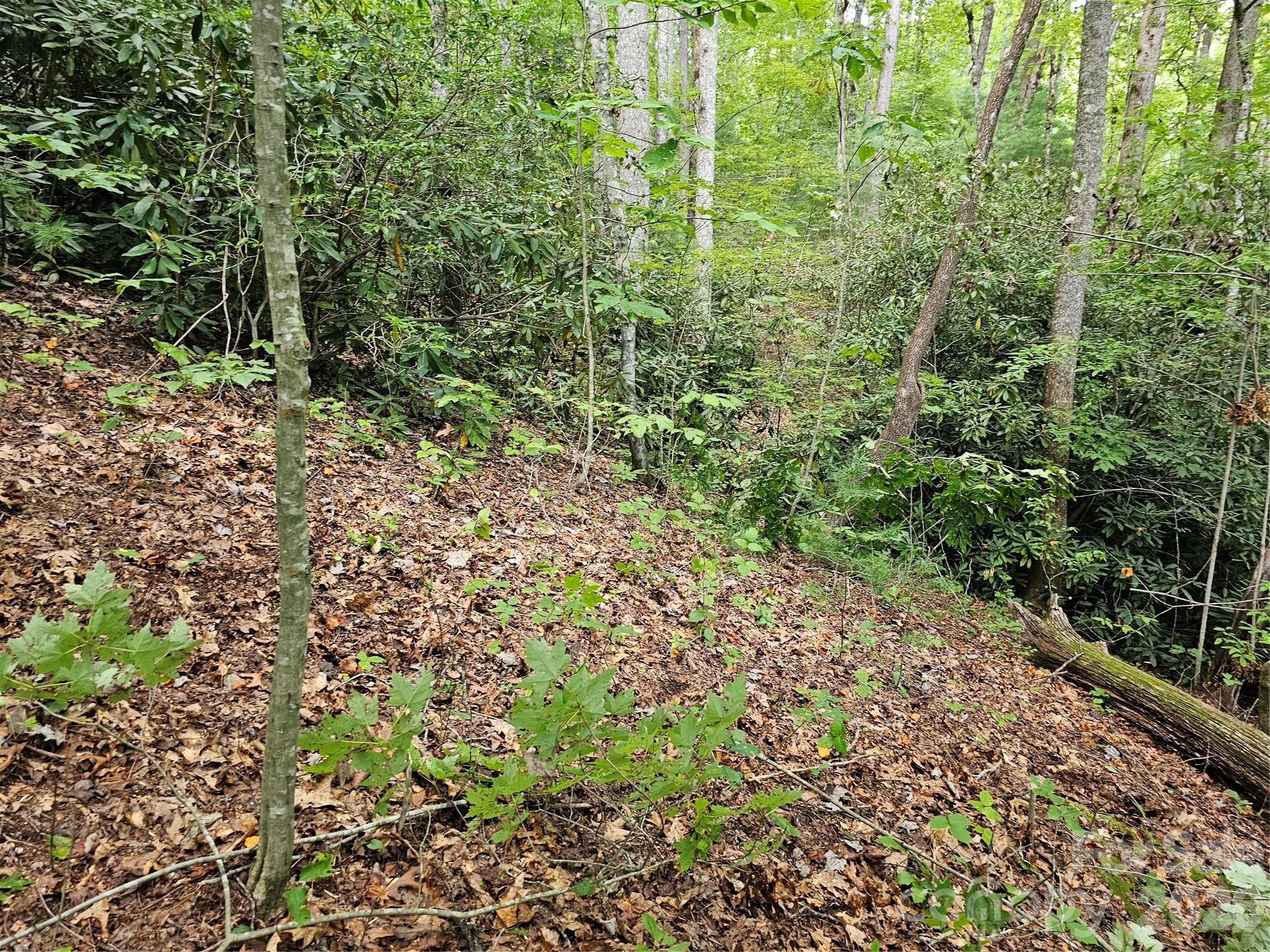 Lot at 99999 Majestic Trace, Hendersonville, photo 47 of 51