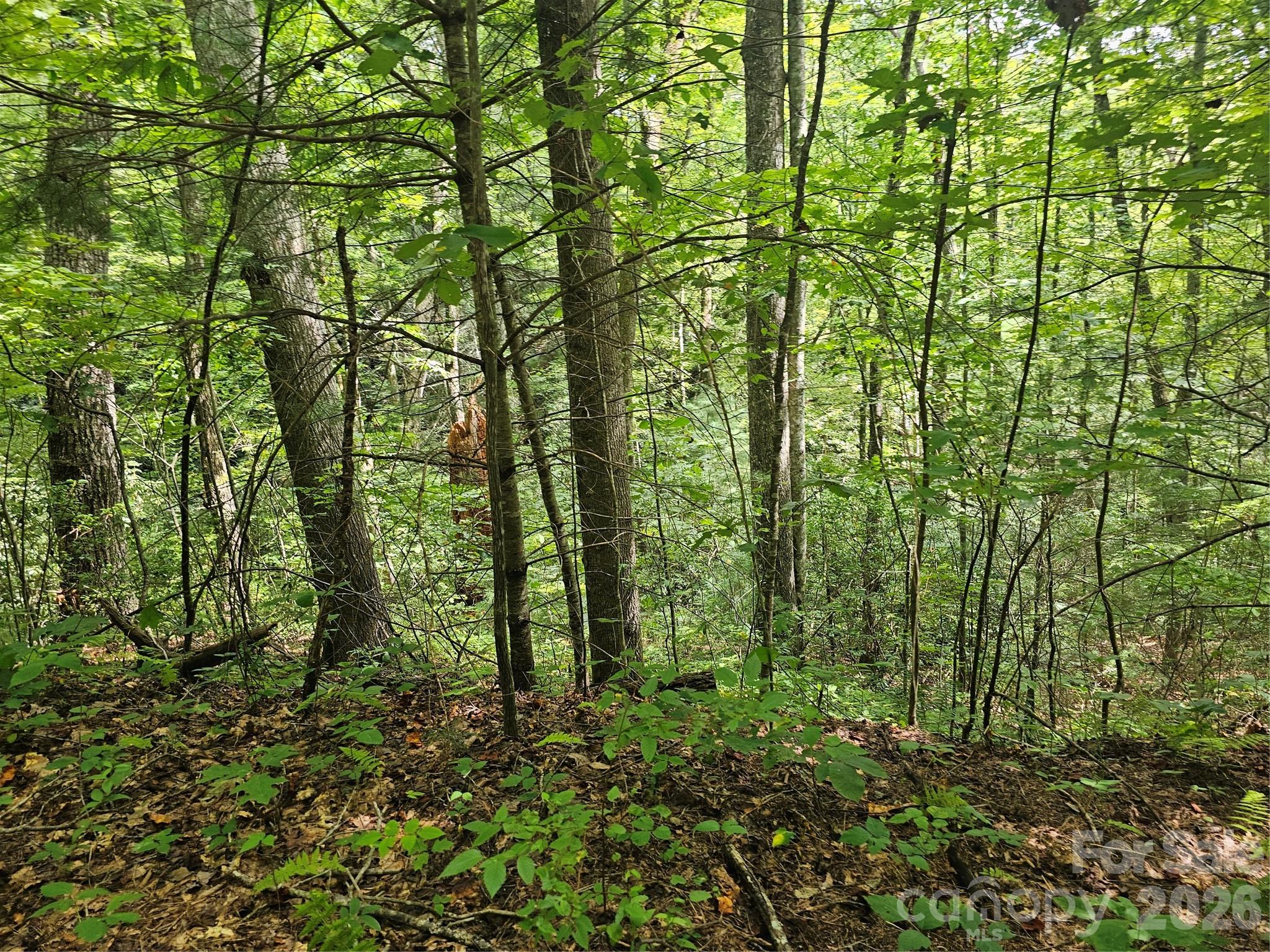 Lot at 99999 Majestic Trace, Hendersonville, photo 43 of 51