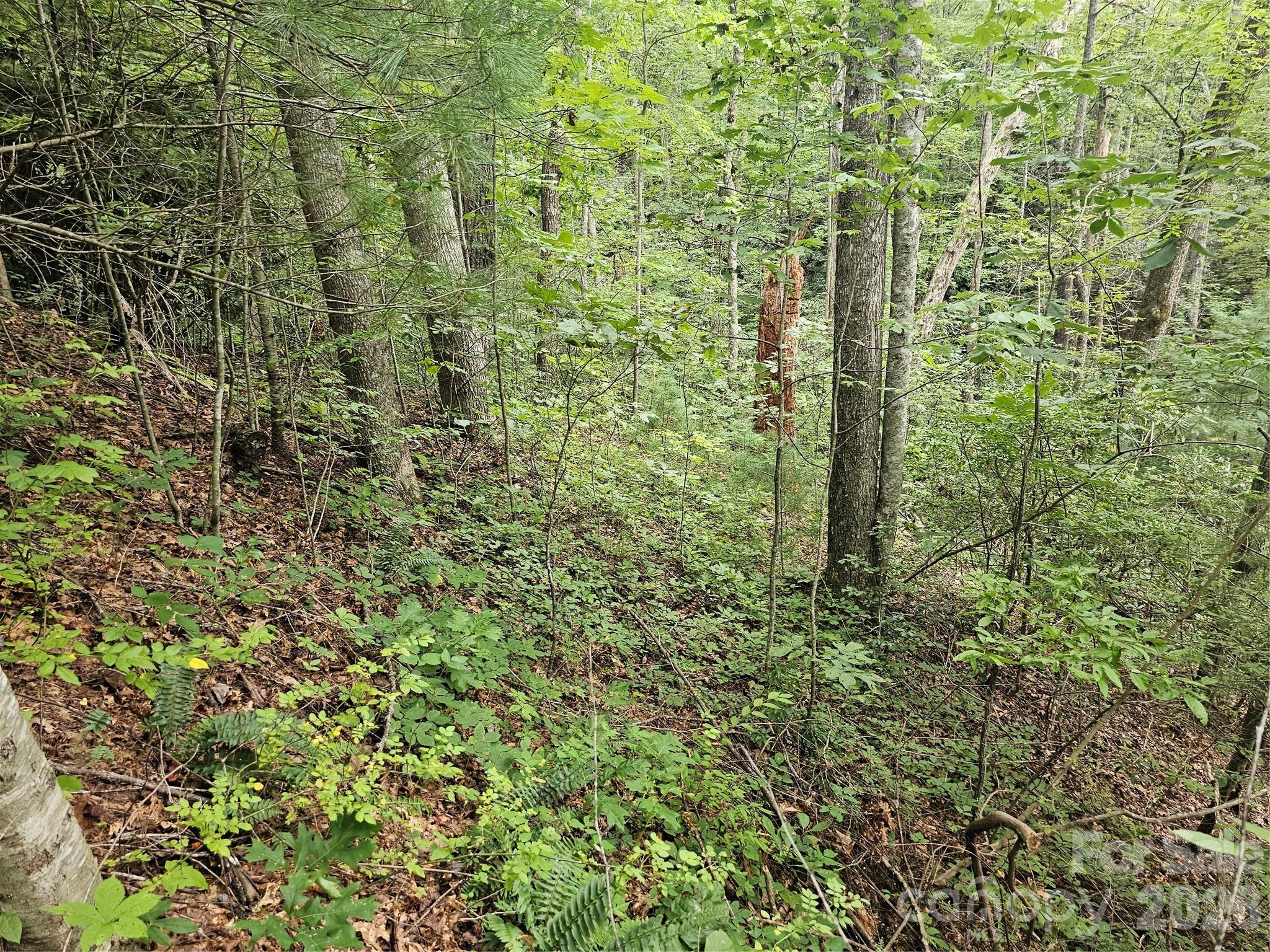 Lot at 99999 Majestic Trace, Hendersonville, photo 48 of 51