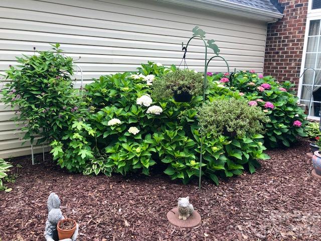 Photo taken by owner to show the blooming in the summer - 526 Kenbridge Lane, Rock Hill