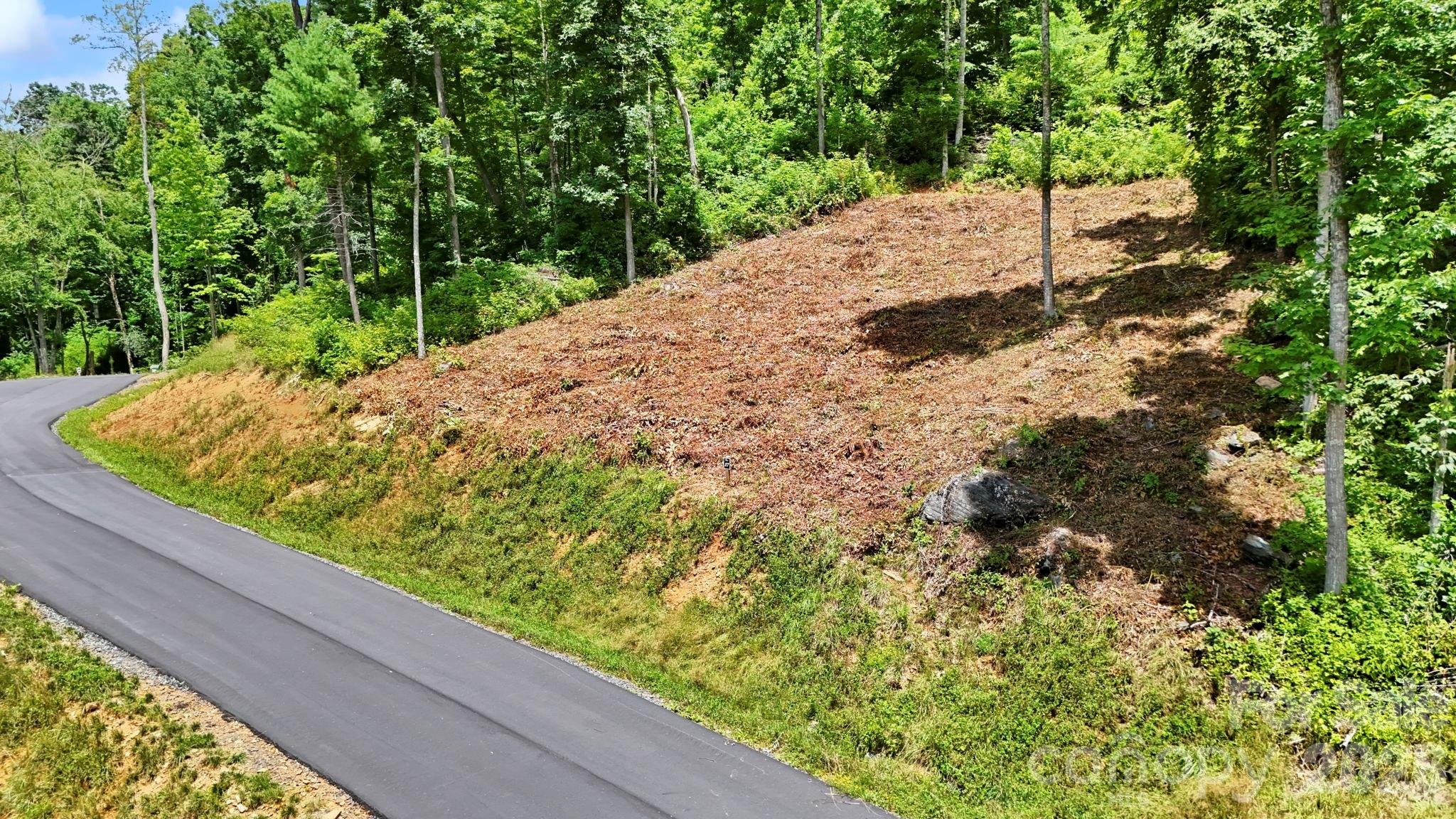 Lot at Lot 27 Summit View Parkway, Spruce Pine, photo 3 of 18