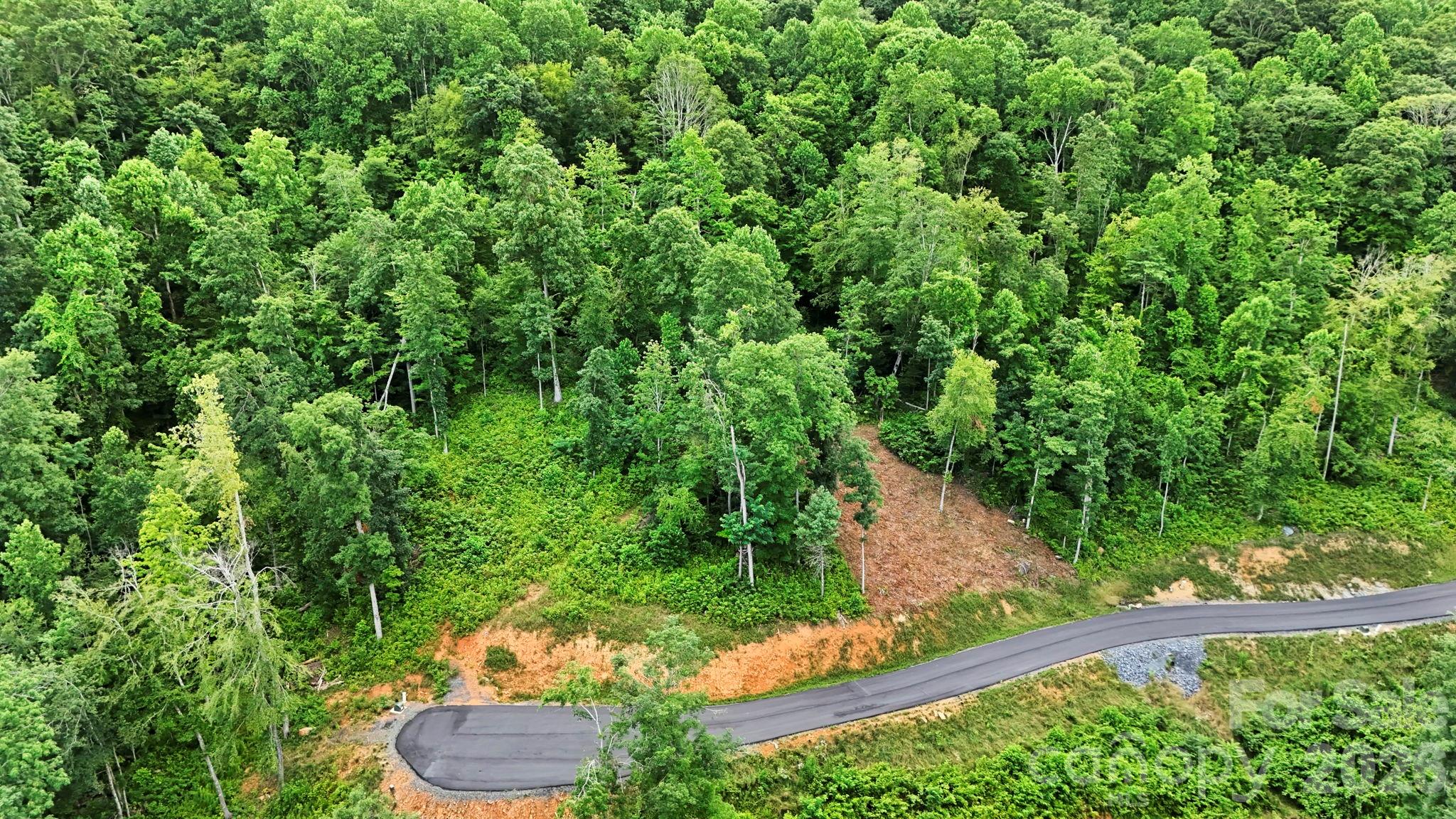 Lot at Lot 27 Summit View Parkway, Spruce Pine, photo 7 of 18