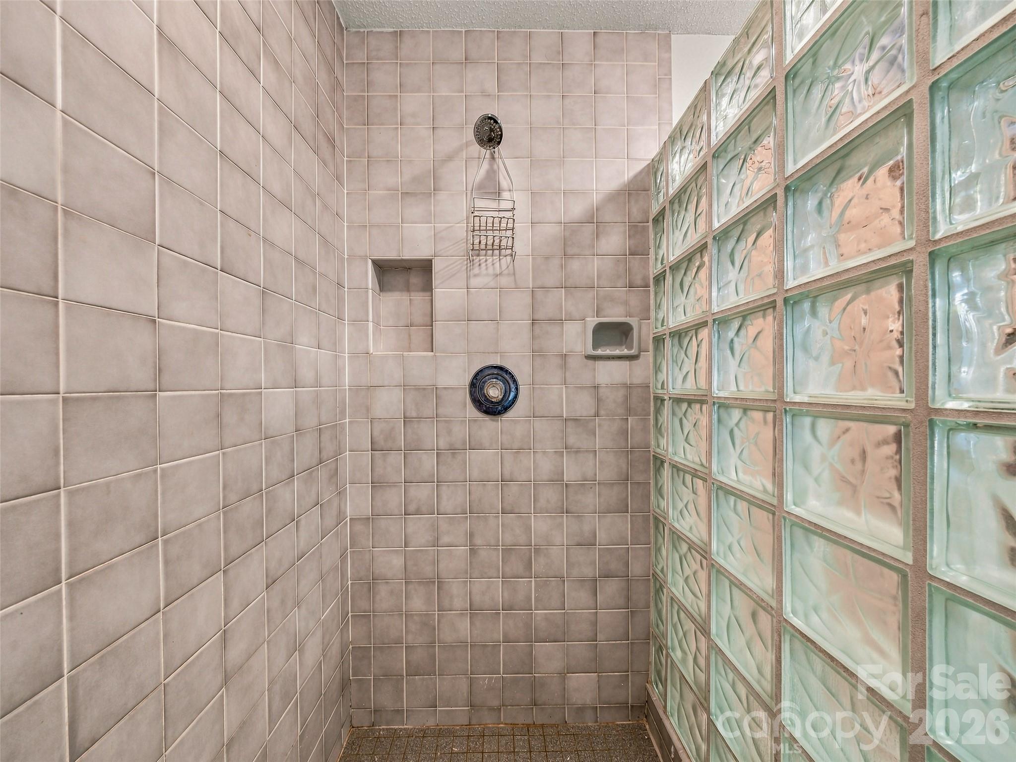 Walk in Shower - 266 Stone Drive, Brevard