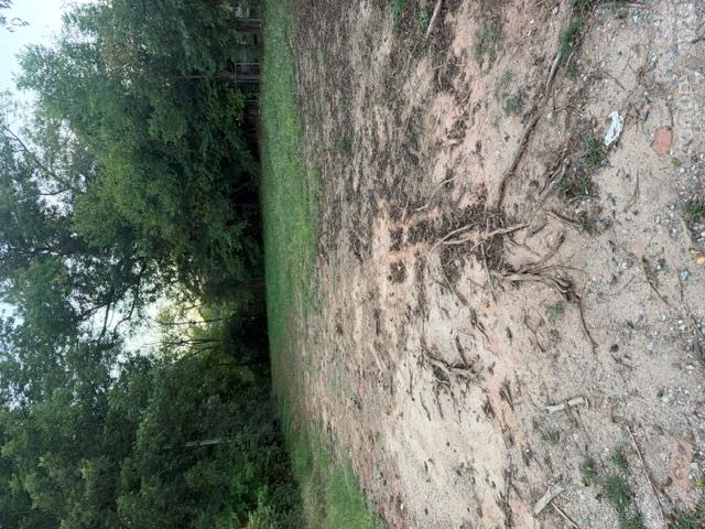Lot at 1159 Sanders Street, Rock Hill, photo 2 of 2