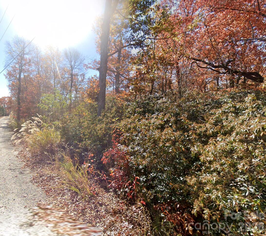 Lot at 45 Autumn View Drive, Hendersonville, photo 2 of 7