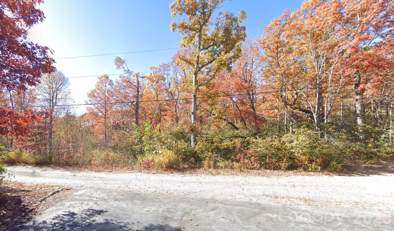 Lot at 45 Autumn View Drive, Hendersonville, photo 3 of 7