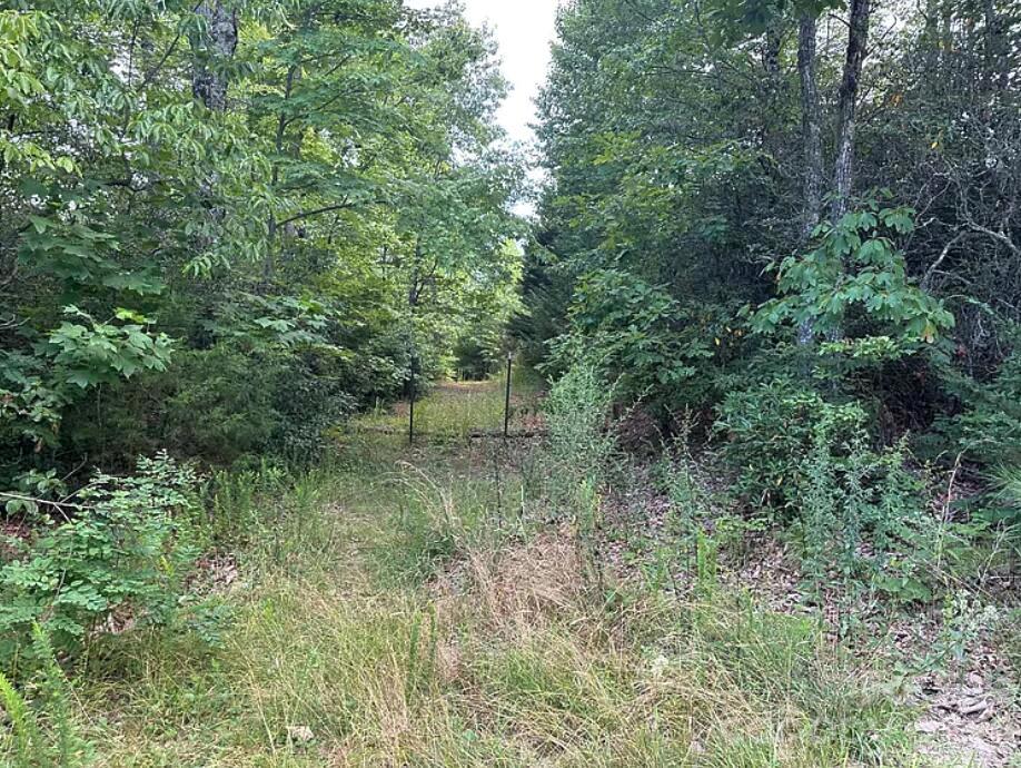 Lot at 45 Autumn View Drive, Hendersonville, photo 5 of 7
