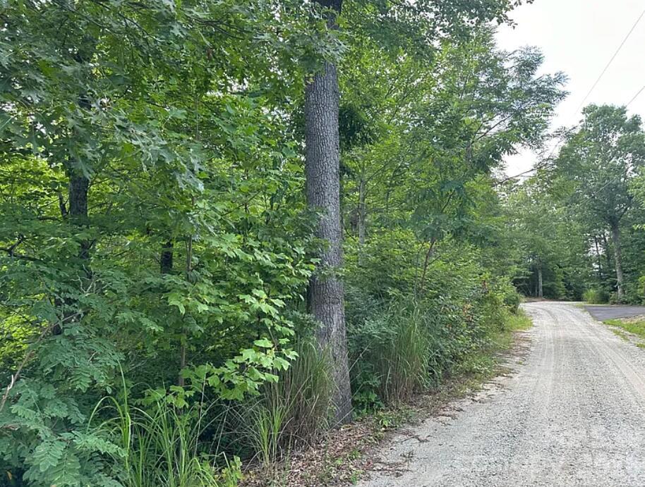 Lot at 45 Autumn View Drive, Hendersonville, photo 6 of 7