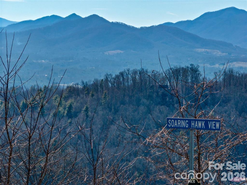 Single Family Residence at 5 Soaring Hawk View, Asheville, photo 10 of 22
