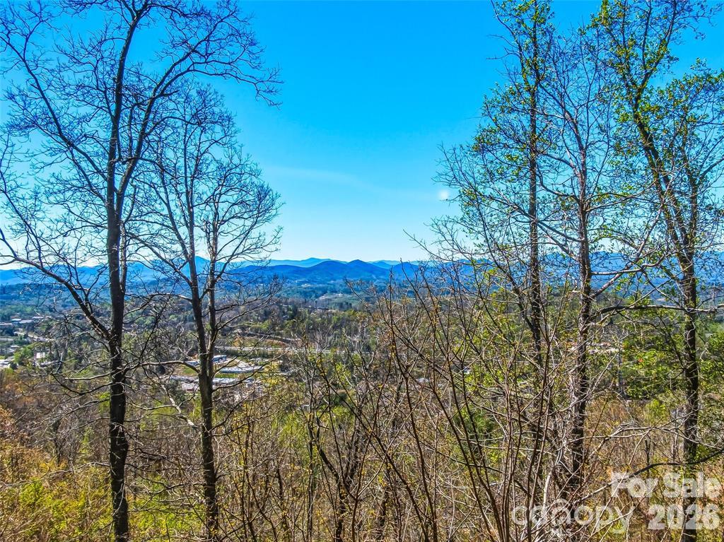 Single Family Residence at 5 Soaring Hawk View, Asheville, photo 12 of 22