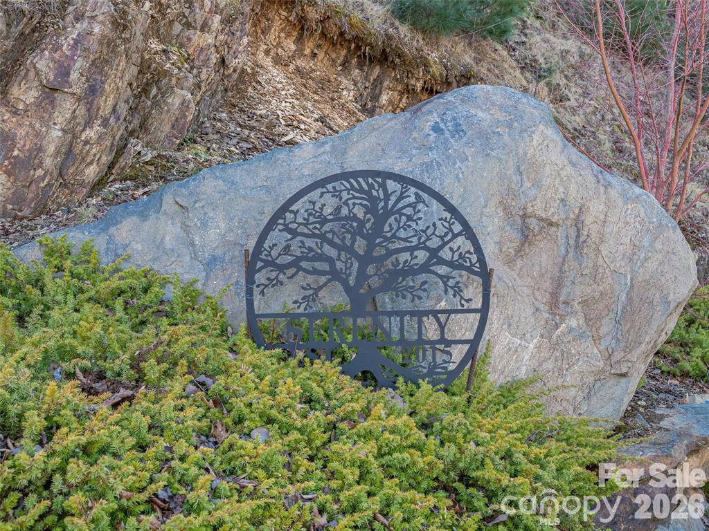 Single Family Residence at 5 Soaring Hawk View, Asheville, photo 21 of 22
