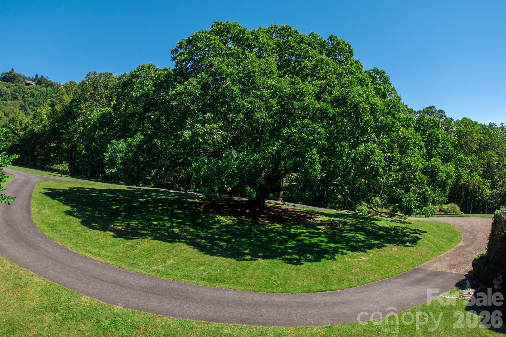 Single Family Residence at 733 Dogwood Lane, Blowing Rock, photo 8 of 48