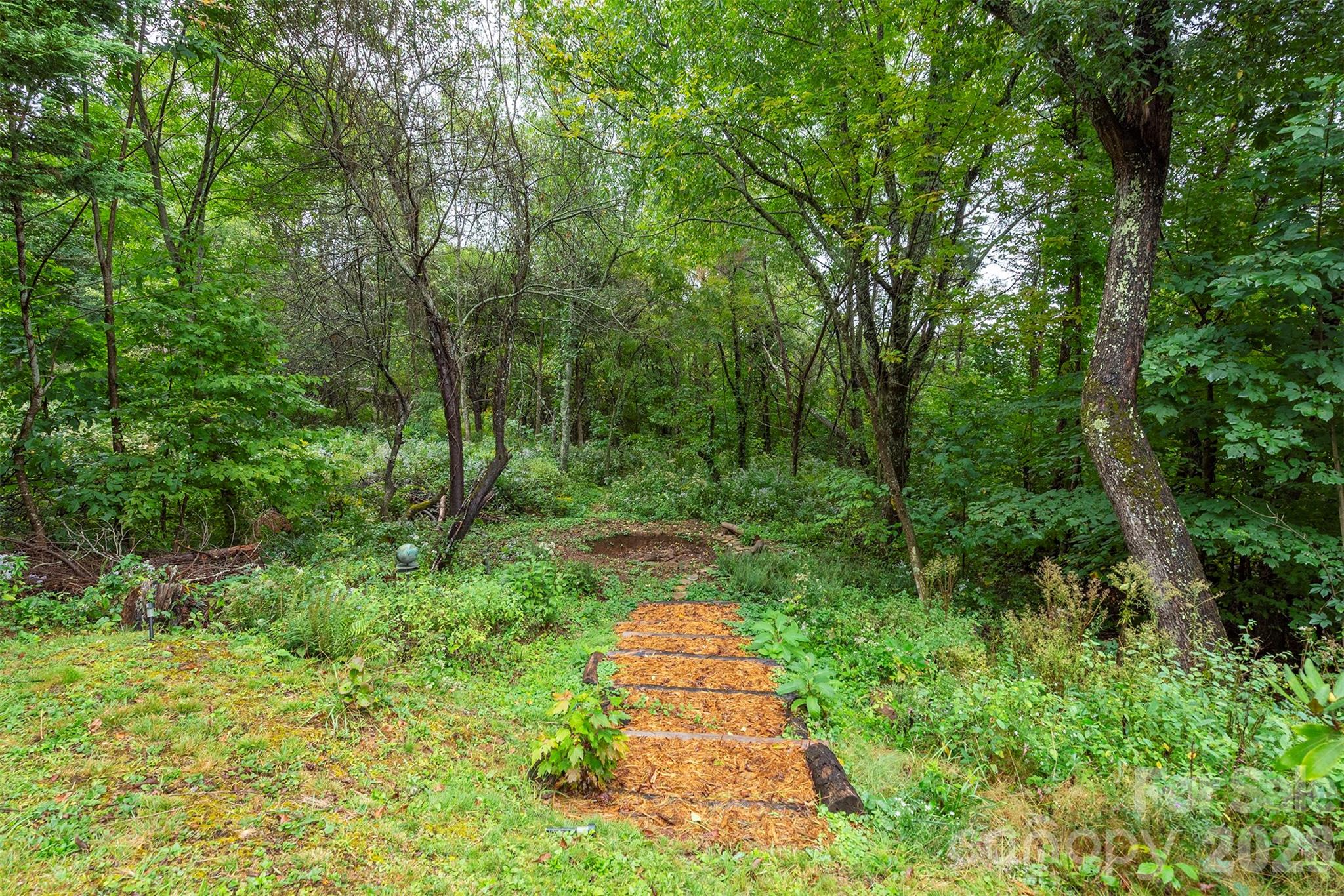 Wooded fire pit area - 281 Bearwallow Trail, Leicester