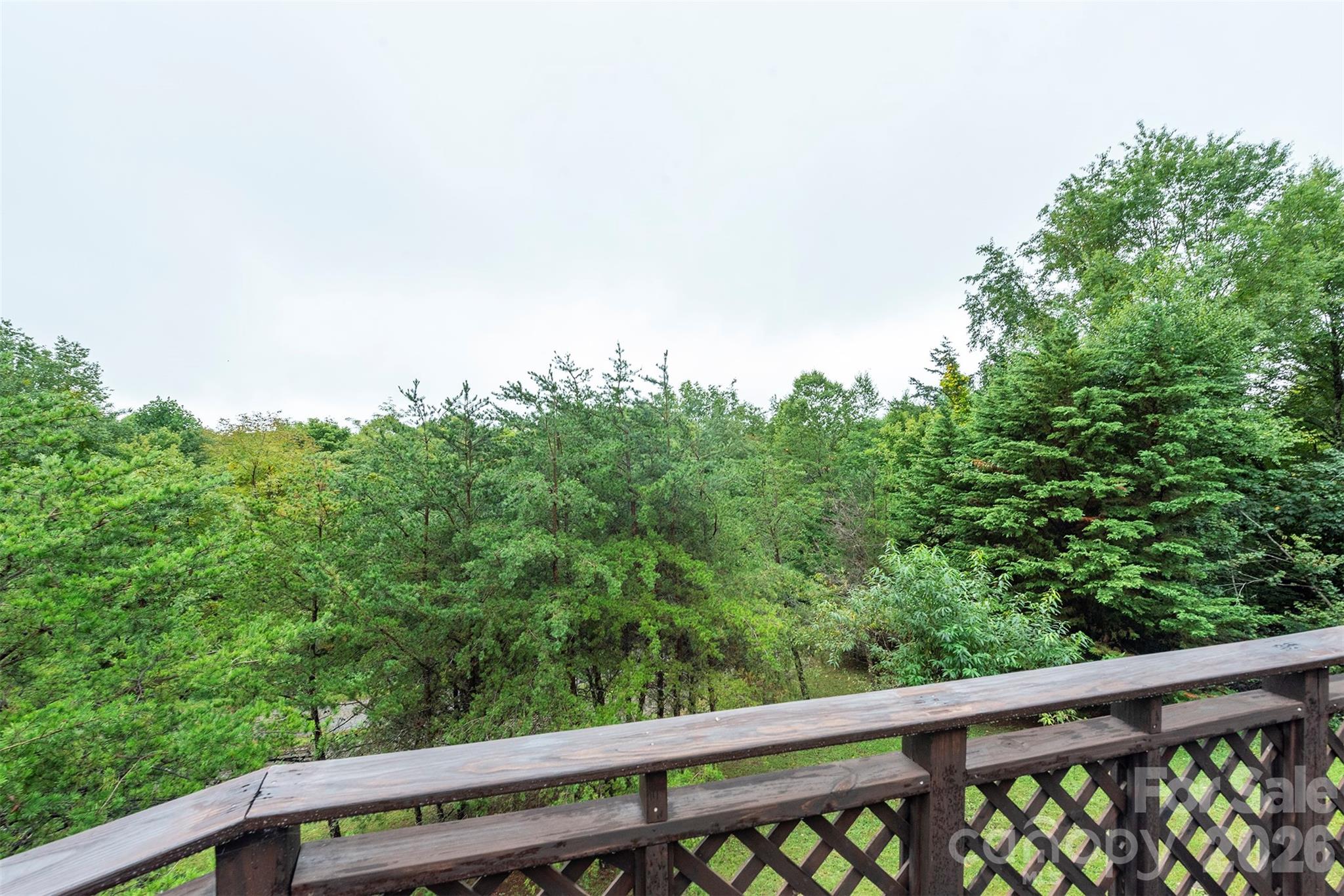 Mountain view from deck - 281 Bearwallow Trail, Leicester