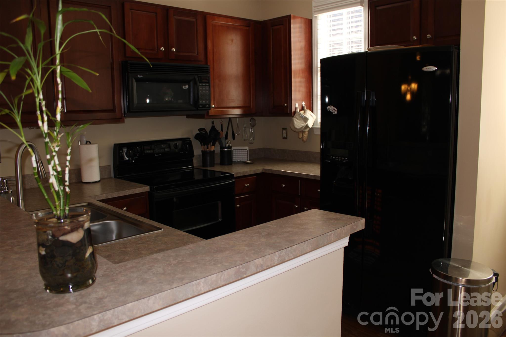 Townhouse at 13708 Anthea Lane, Huntersville, photo 4 of 30