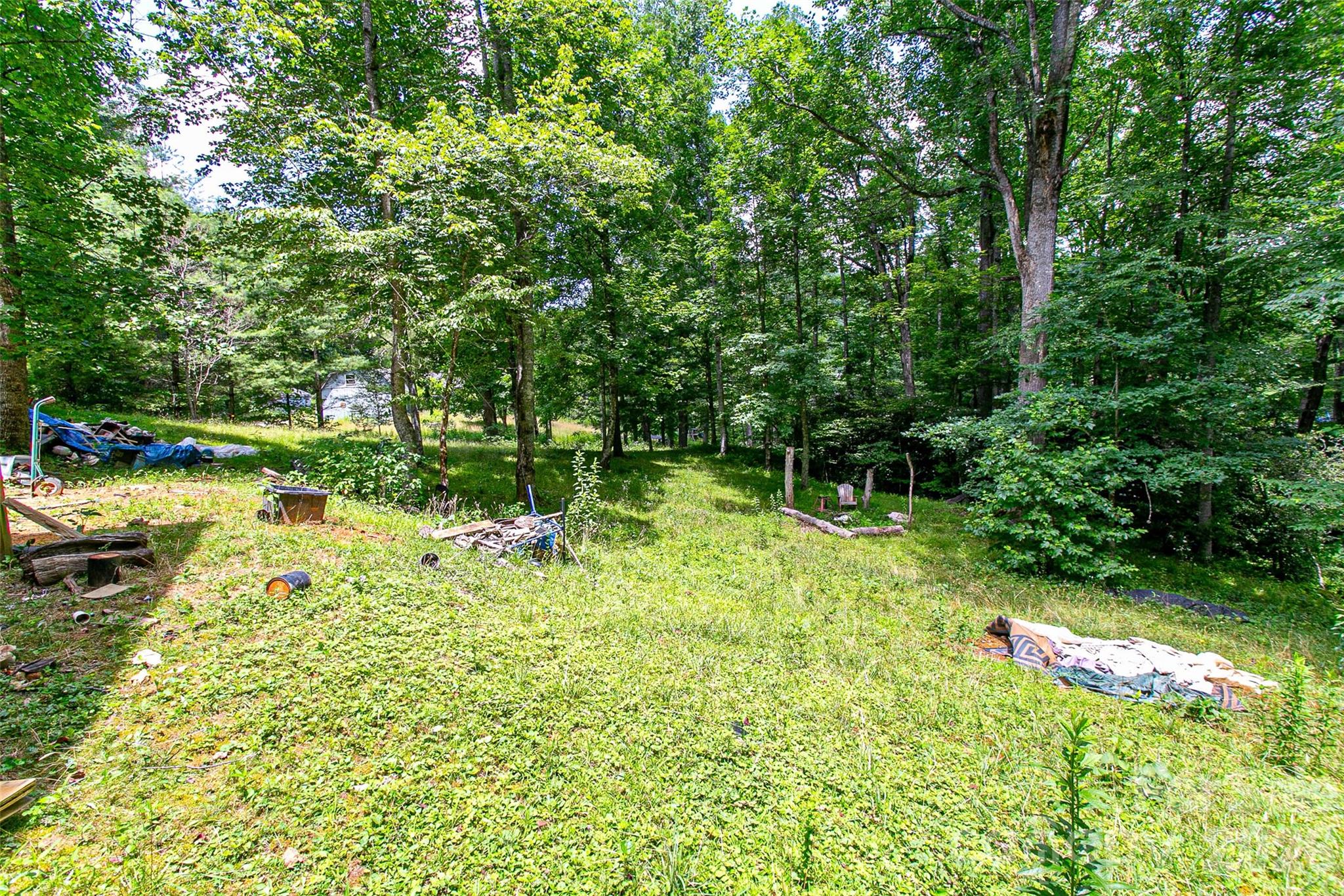 Single Family Residence at 164 Horseplay Lane, Lake Toxaway, photo 4 of 14