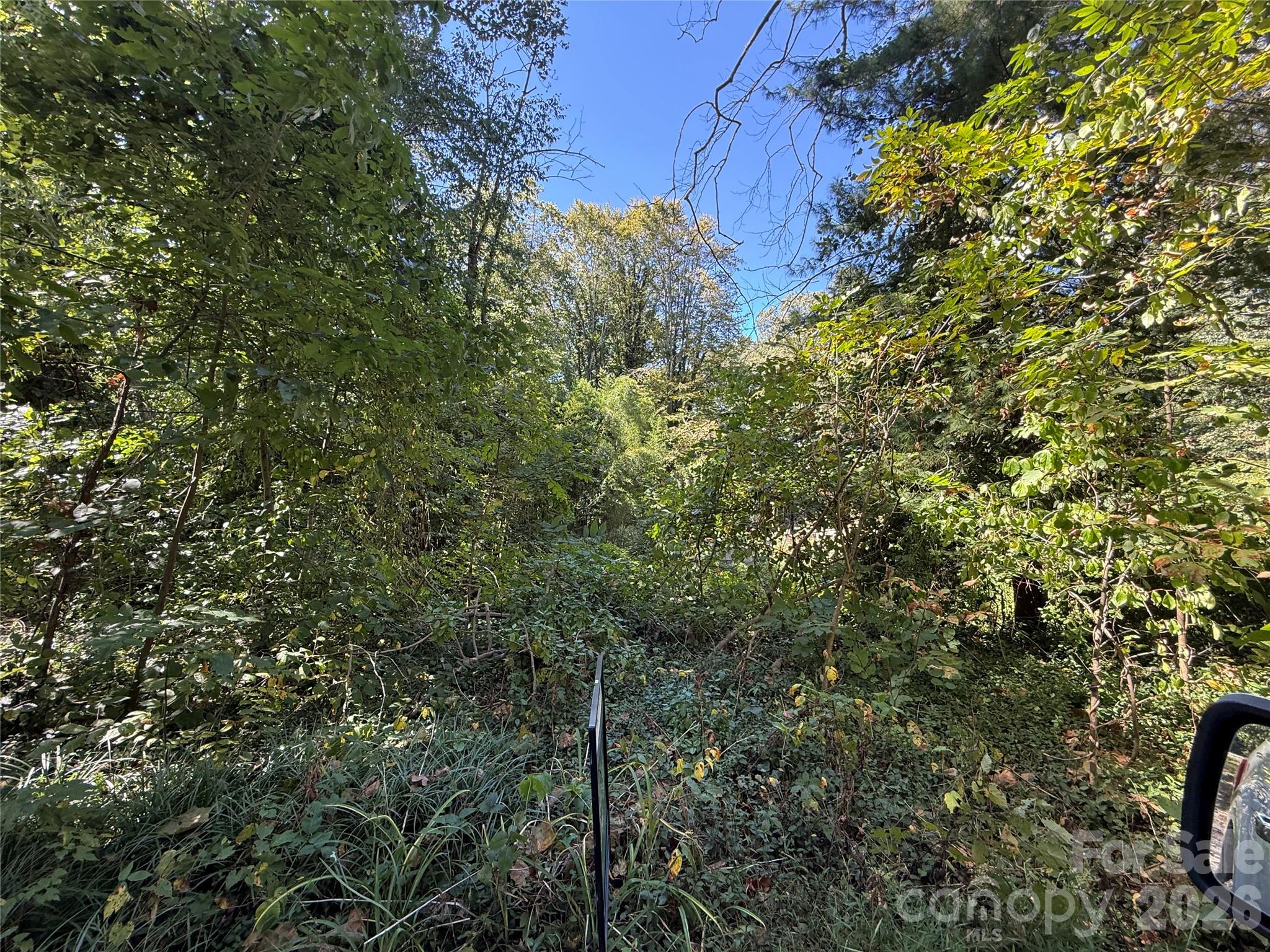 Lot at 99999 Roebling Circle, Asheville, photo 7 of 23