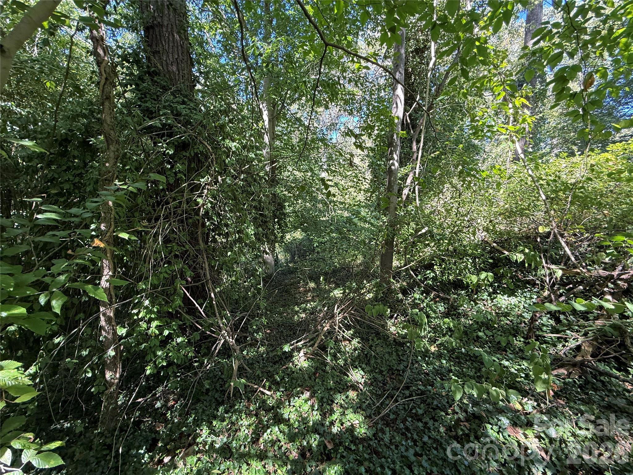 Lot at 99999 Roebling Circle, Asheville, photo 11 of 23