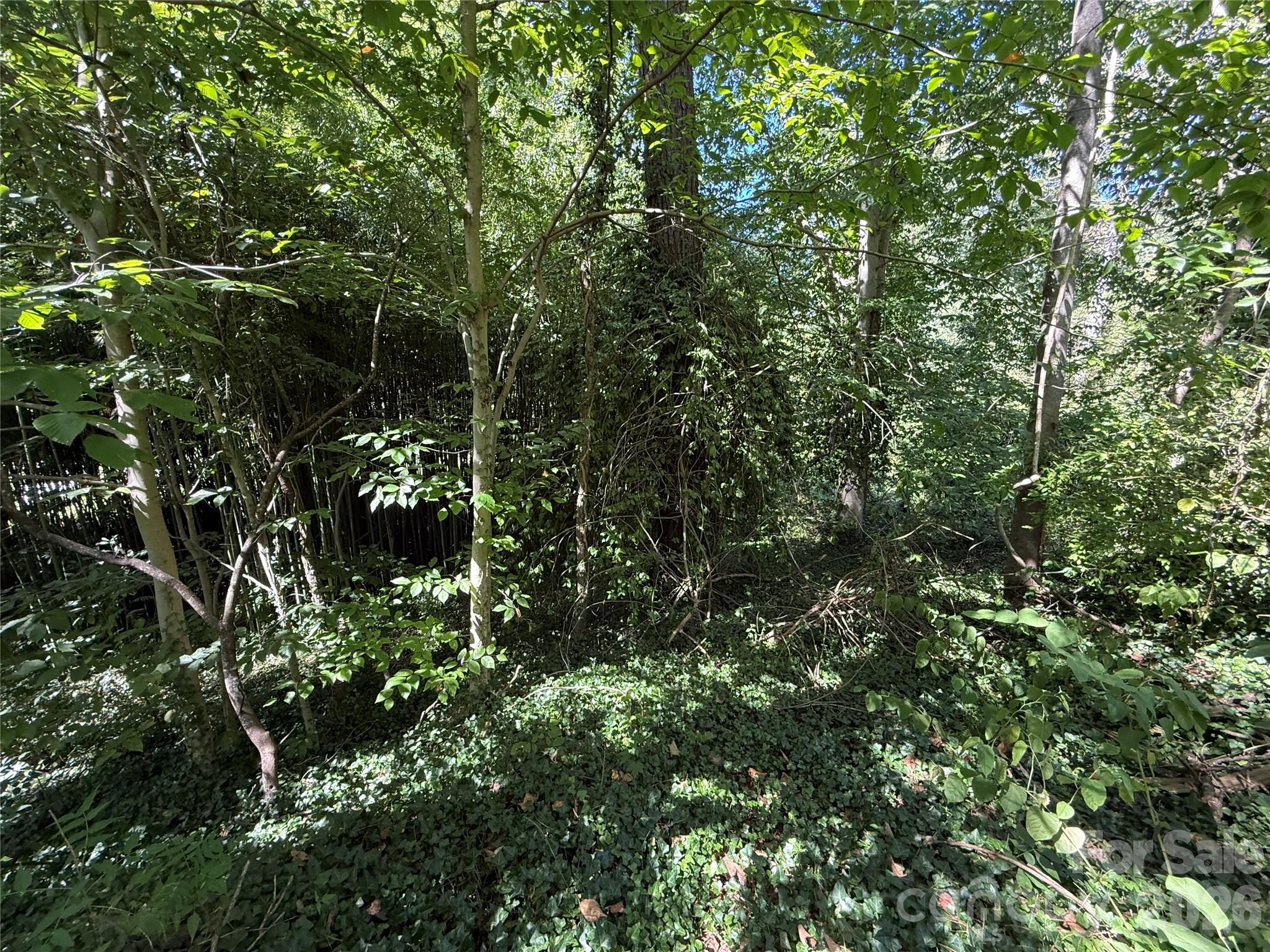 Lot at 99999 Roebling Circle, Asheville, photo 16 of 23