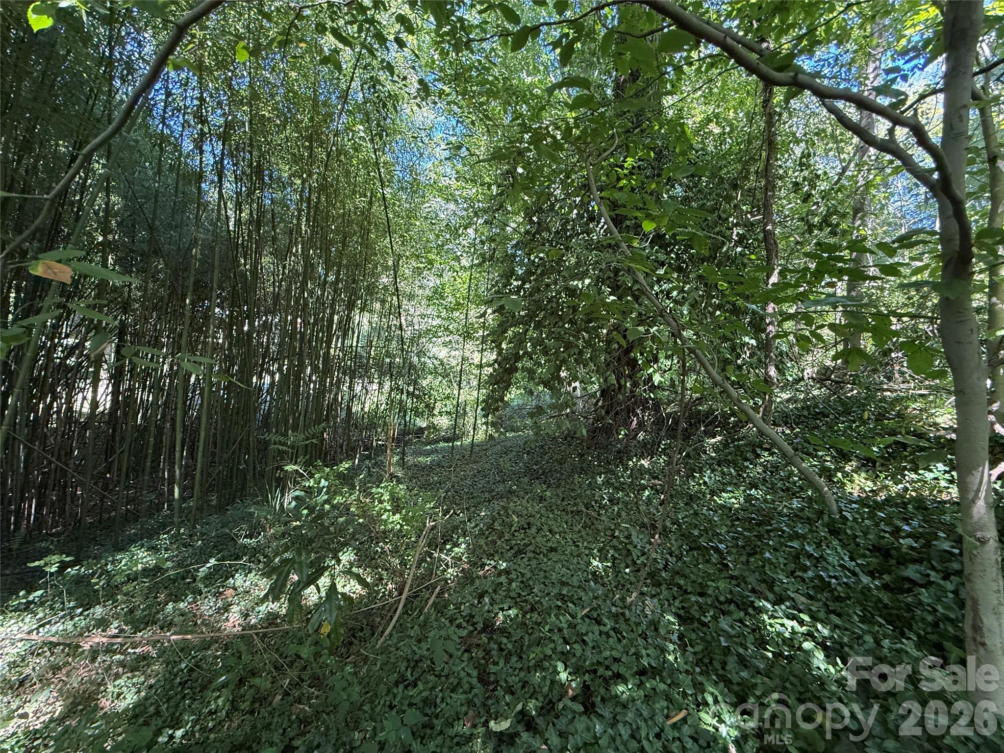 Lot at 99999 Roebling Circle, Asheville, photo 18 of 23
