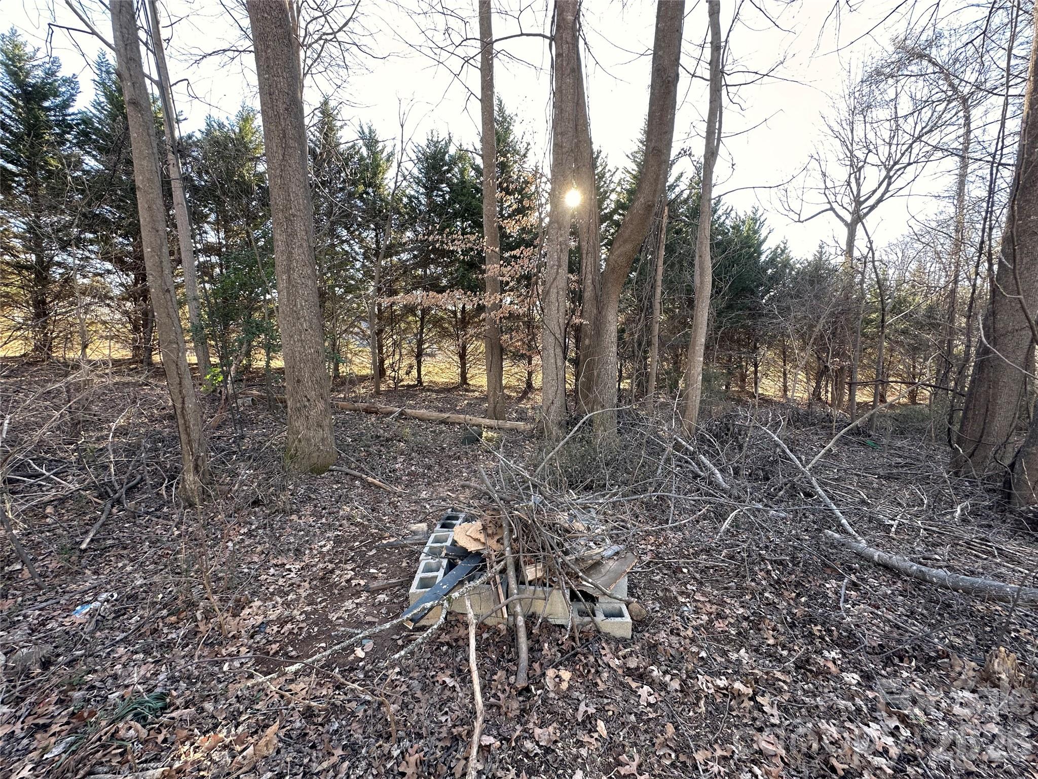 The Fire Pit - 113 Highlander Street, Morganton