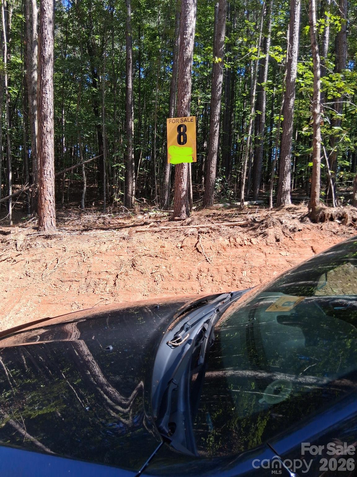 Lot at 15 Vein Mountain Road, Dysartsville, photo 11 of 20