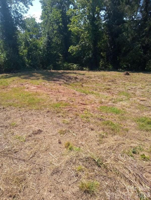 Acreage at 116 Starnes Cove Road, Asheville, photo 2 of 17