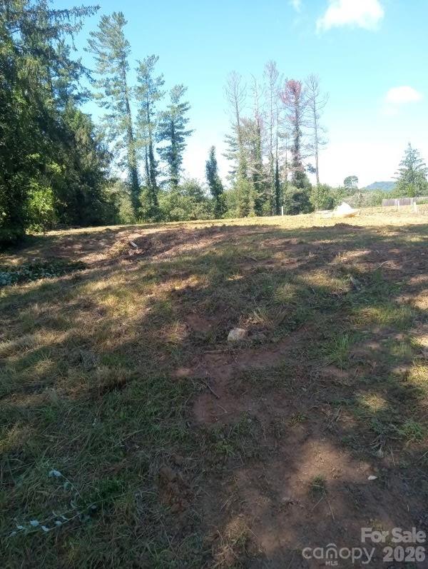Acreage at 116 Starnes Cove Road, Asheville, photo 11 of 17