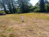 Acreage at 116 Starnes Cove Road, Asheville, photo 14 of 17