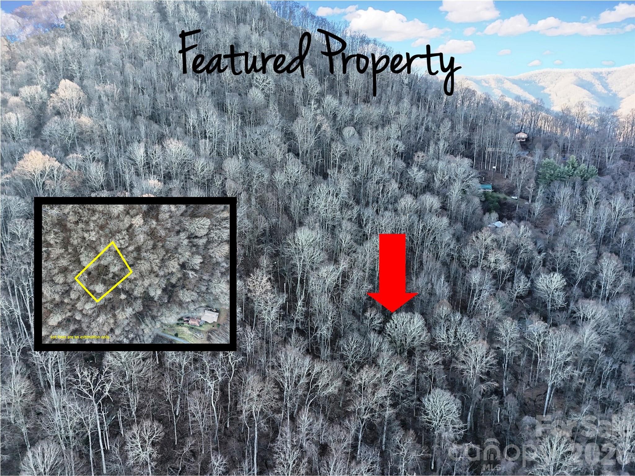 Lot at TBD Vireo Lane, Waynesville, photo 2 of 6