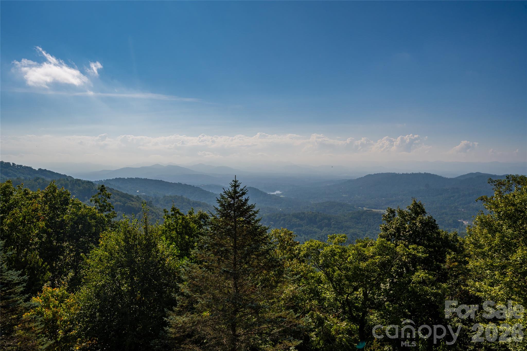 Single Family Residence at 28 Peach Knob Drive, Asheville, photo 23 of 48