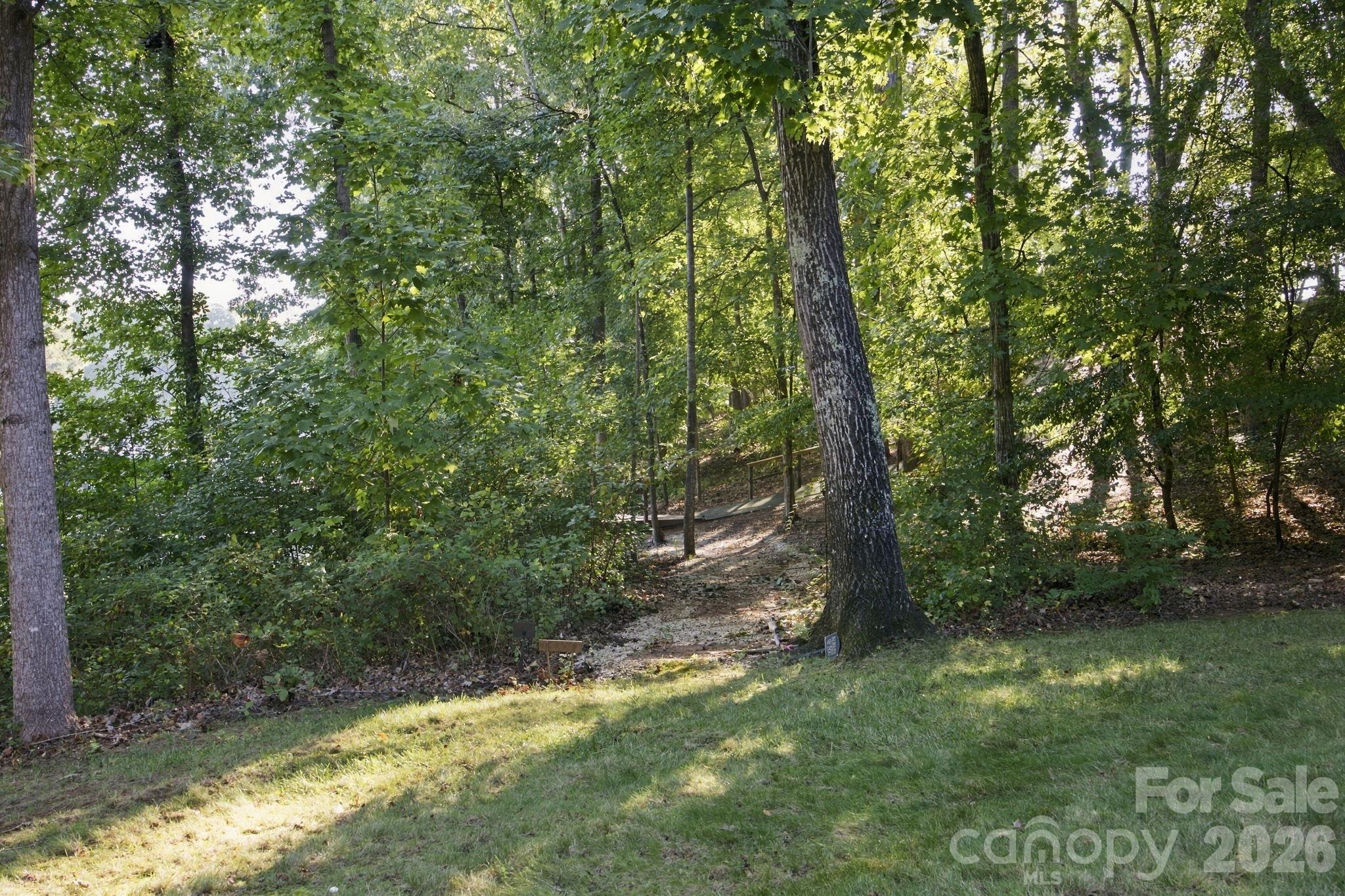 Path from property to Boat Ramp & Slip - 119 Whaling Lane, Mooresville