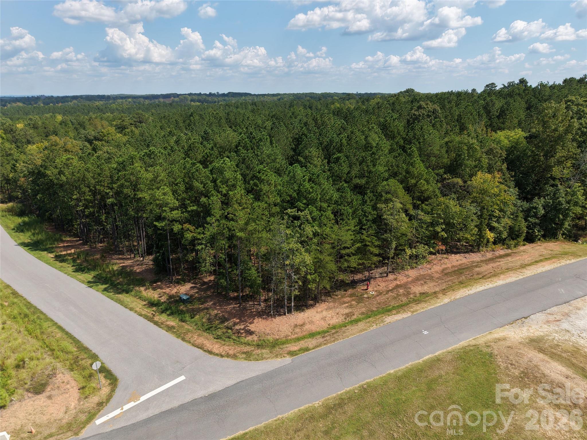 Access 1 from Cobb St. - TBD NC HWY 109 None N, Wadesboro