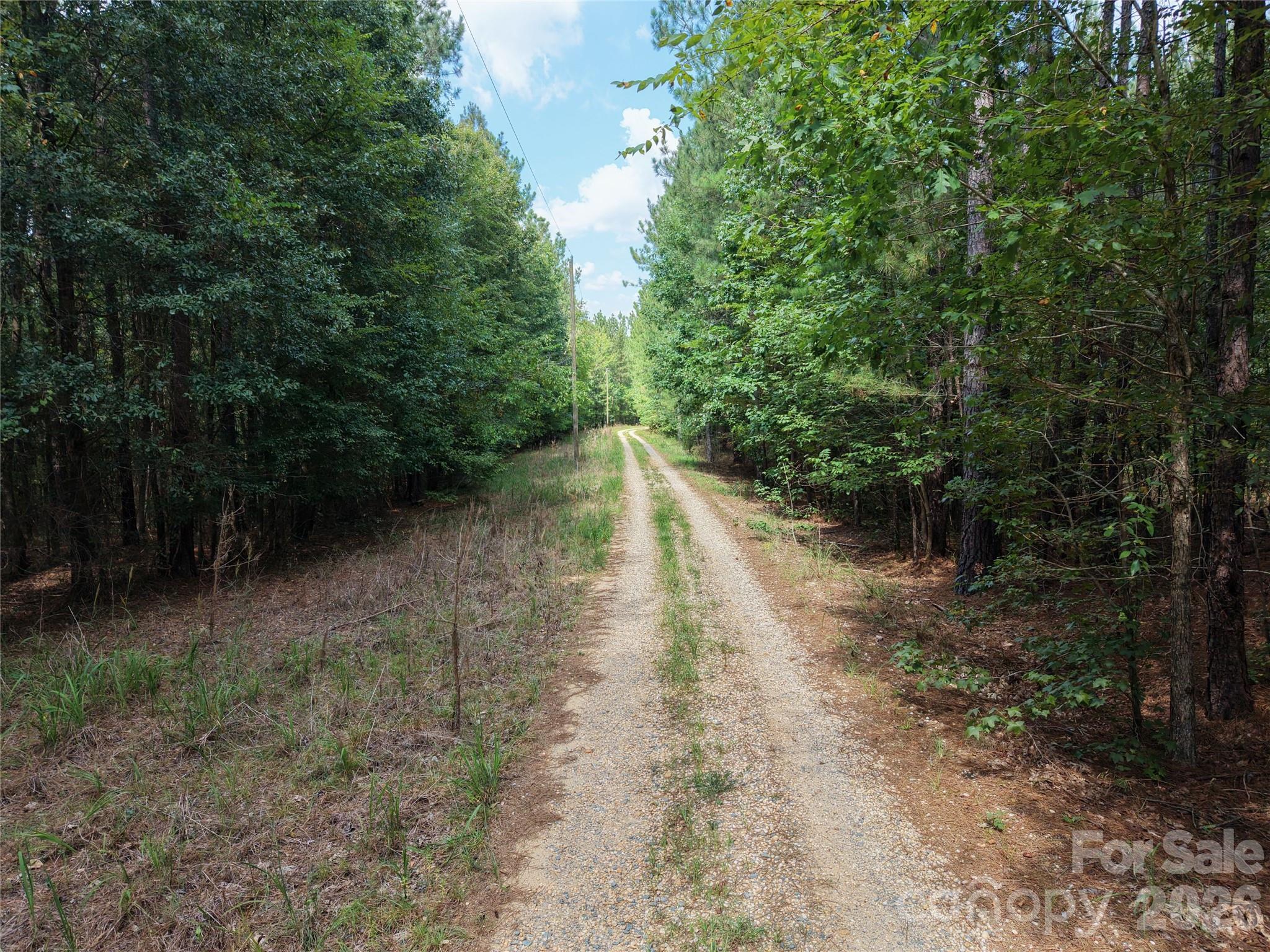 Acreage at TBD NC HWY 109 None N, Wadesboro, photo 18 of 37