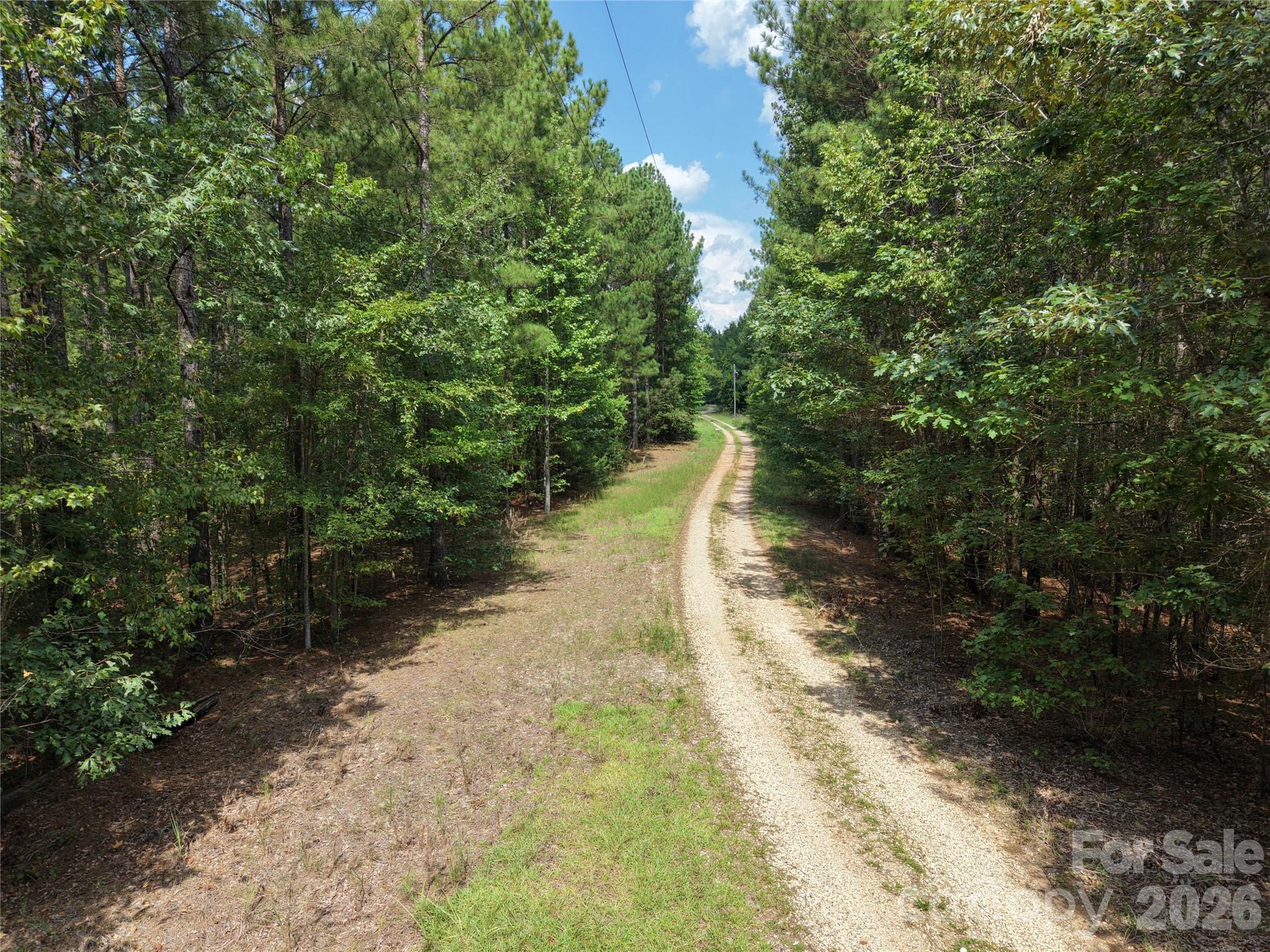 Acreage at TBD NC HWY 109 None N, Wadesboro, photo 19 of 37