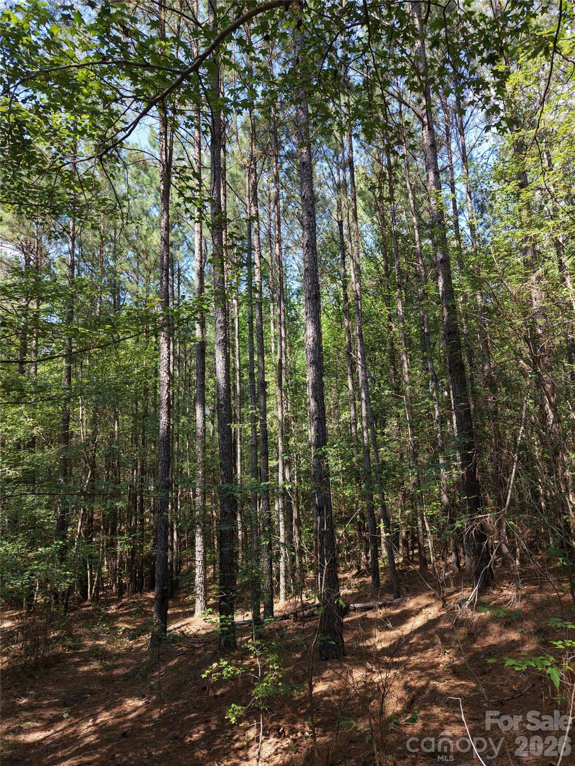 Acreage at TBD NC HWY 109 None N, Wadesboro, photo 22 of 37